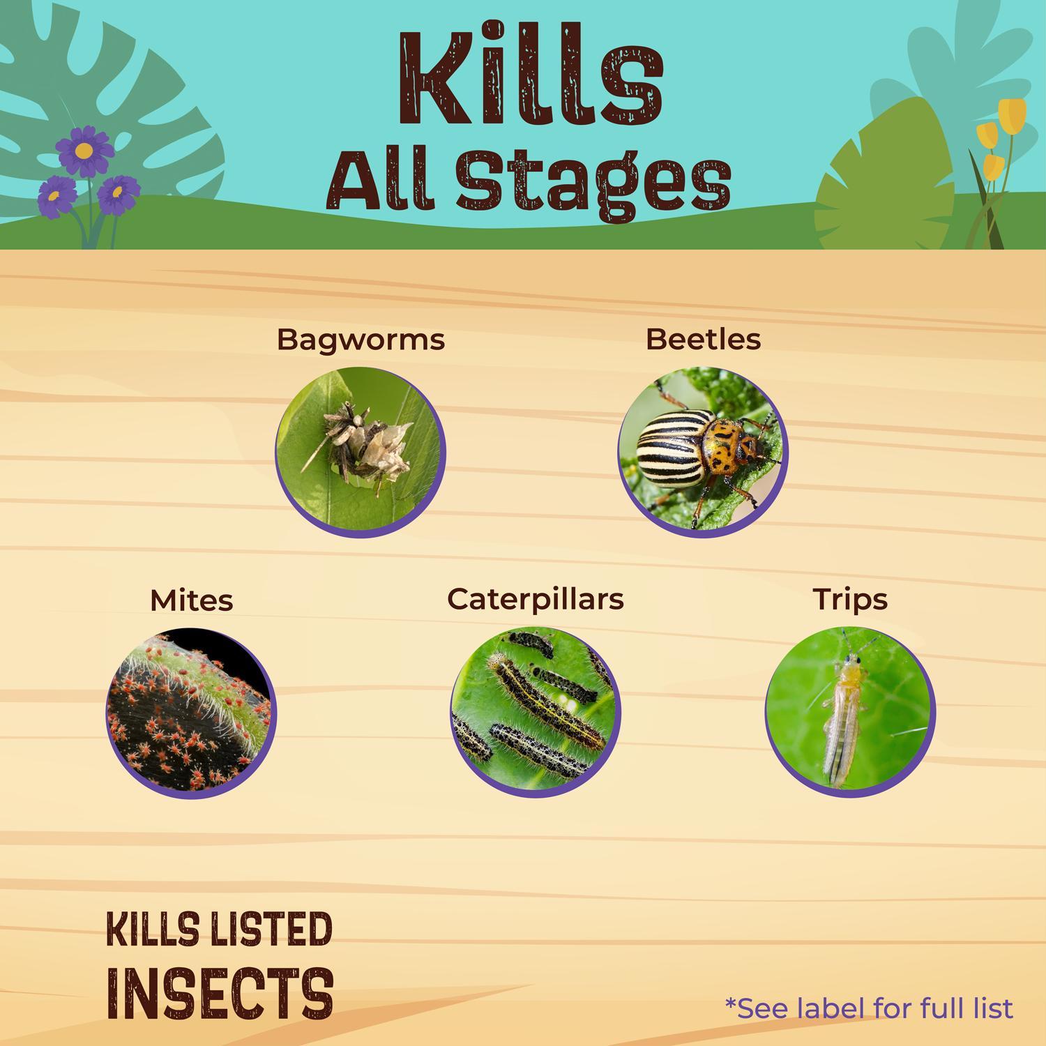 Bonide Captain Jacks Deadbug Brew Organic Insect Killer Liquid 32 oz