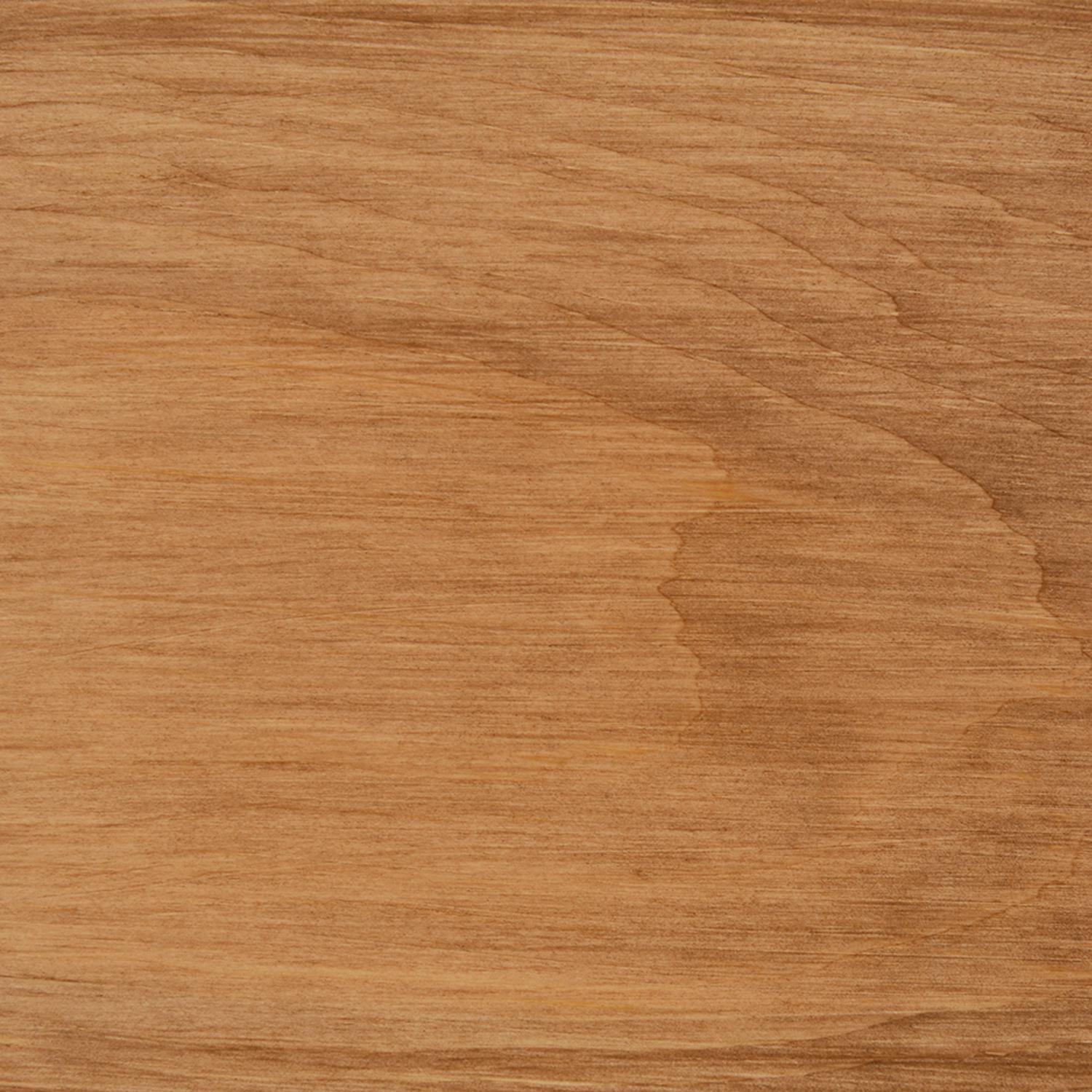 Thompson's WaterSeal Transparent Chestnut Brown Waterproofing Wood Stain and Sealer 1 gal