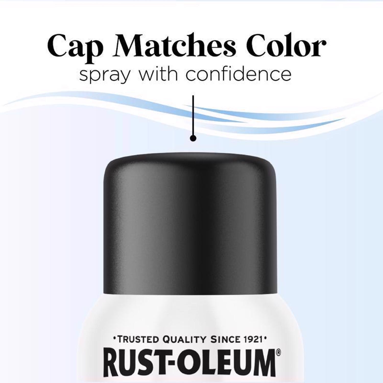 Rust-Oleum Low Odor Matte Blackout Spray Paint 11 oz.
