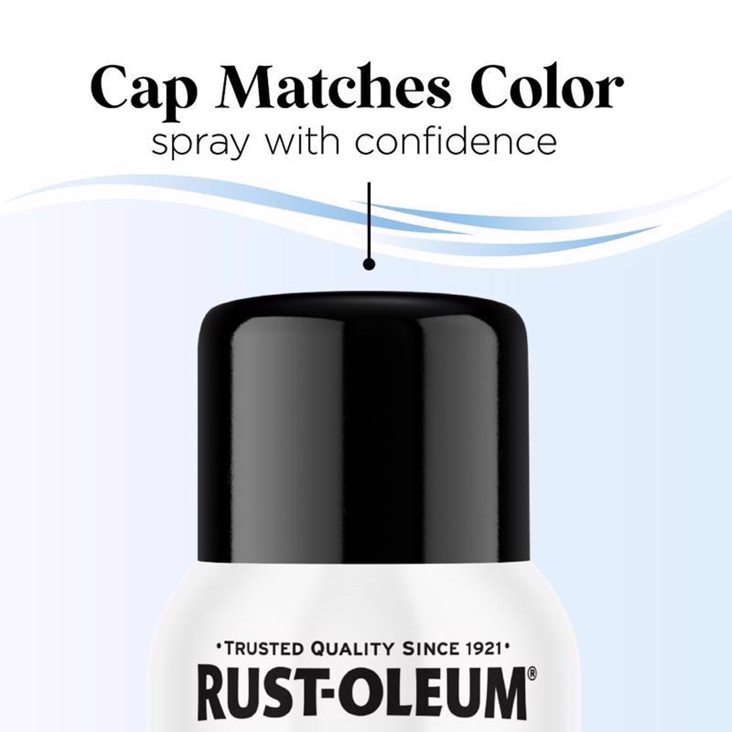 Rust-Oleum Low Odor Gloss Blackout Spray Paint 11 oz.