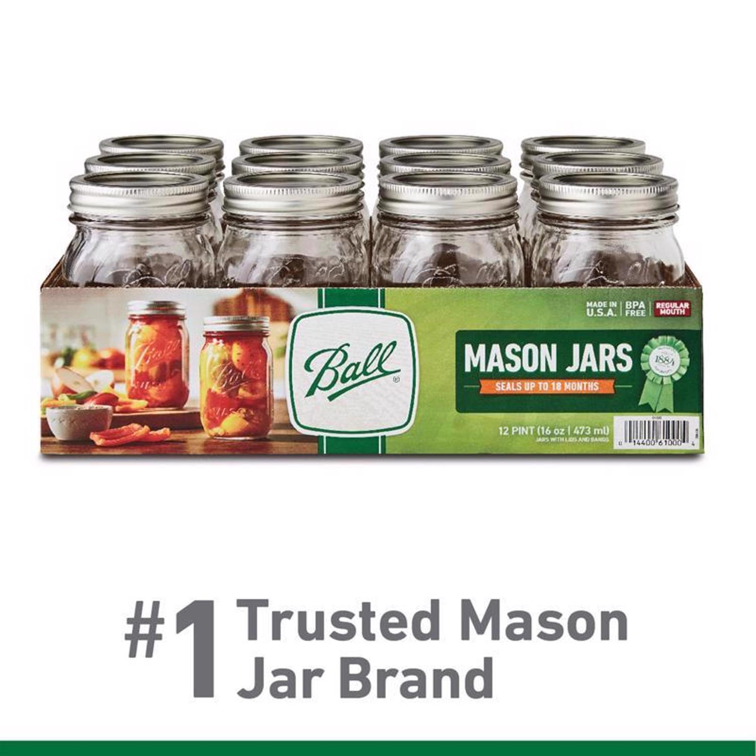 Ball Regular Mouth Mason Jar 16 oz 12 pk