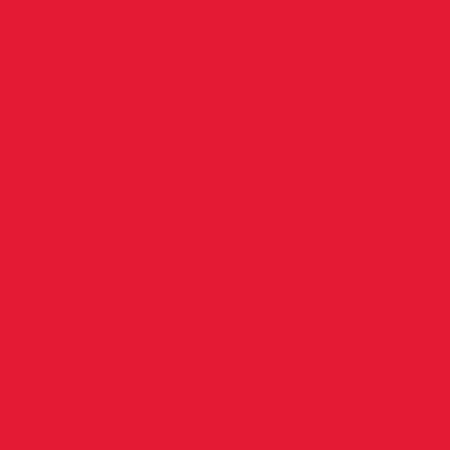 Ace Premium Gloss Banner Red Paint + Primer Enamel Spray 12 oz