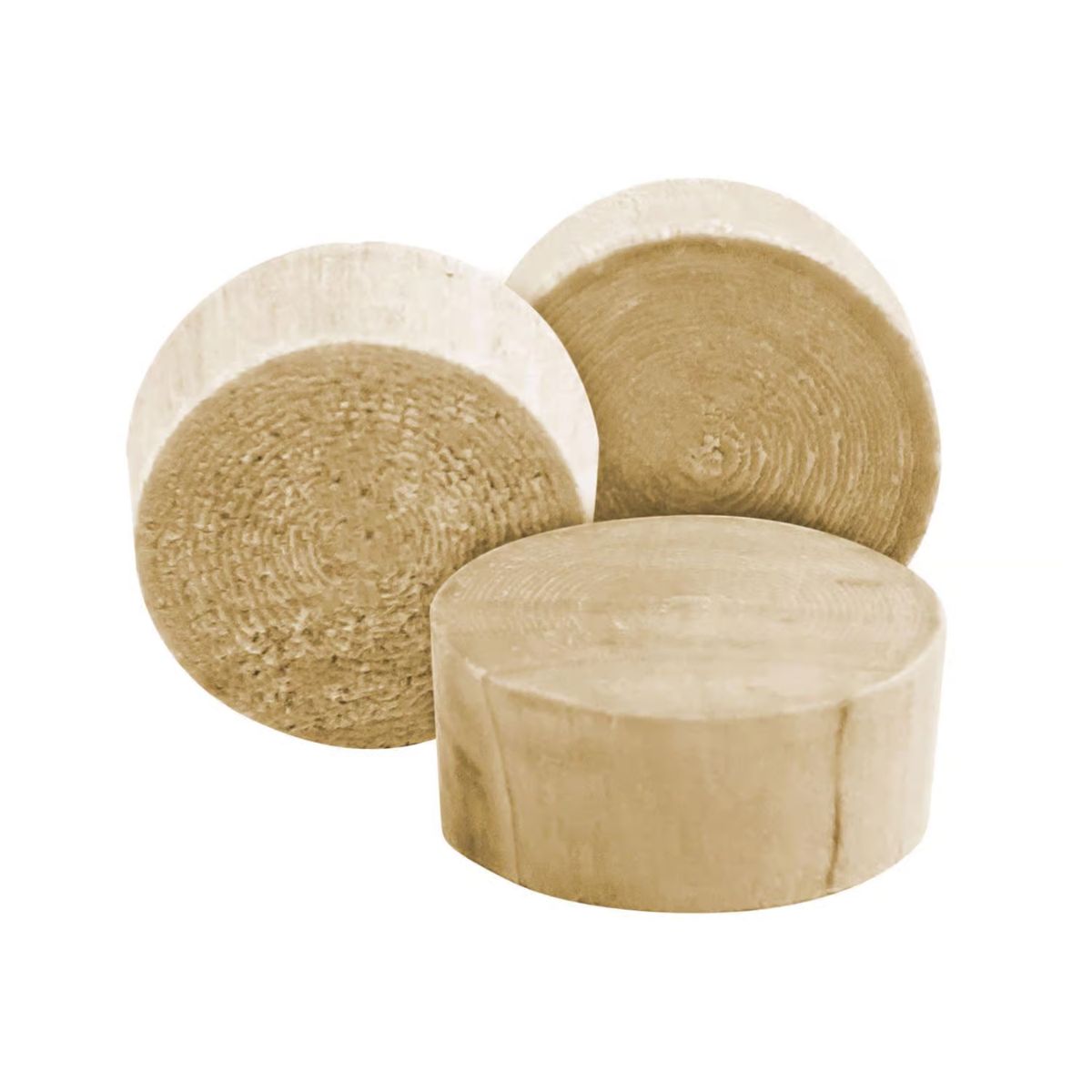 Richelieu Round Birch Head Plug 3/8 in. D x .38 in. L 25 Pack Natural