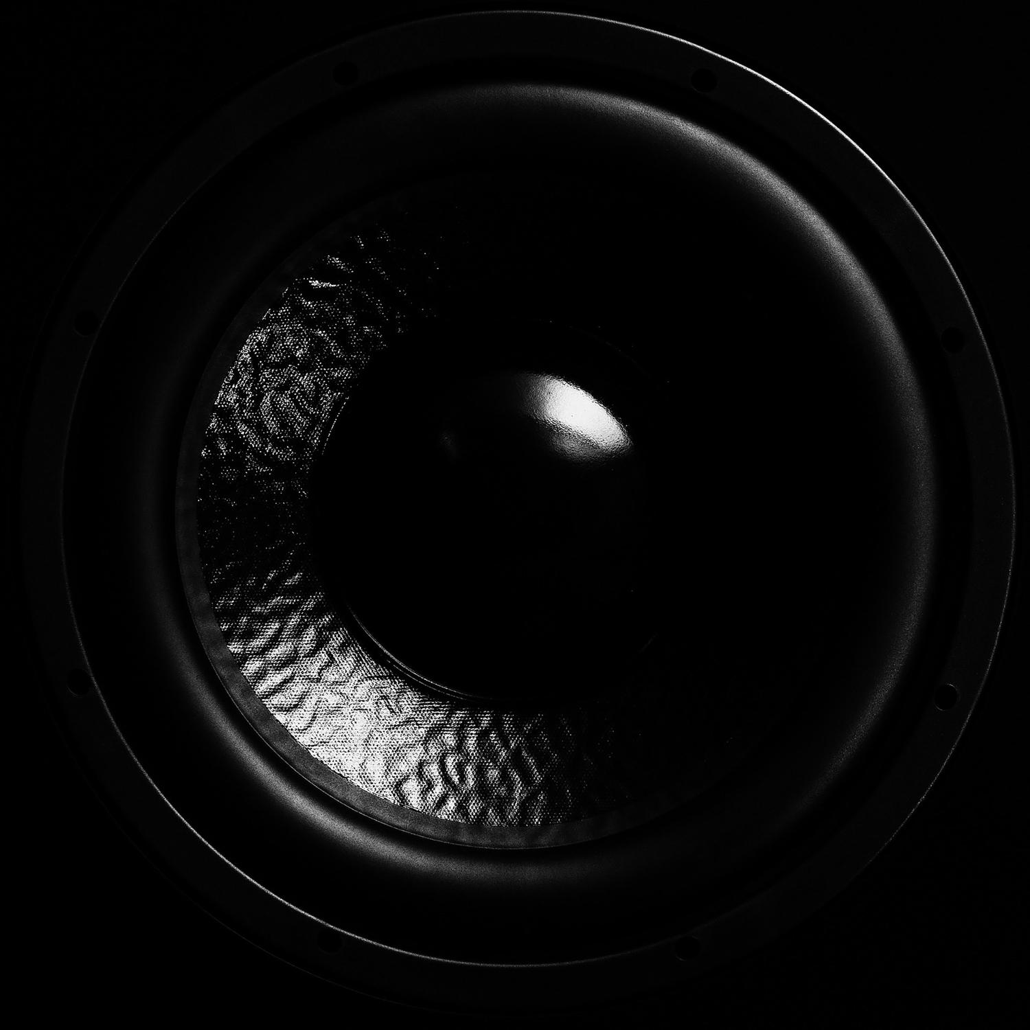 Monster 12 ft. L Subwoofer Cable RCA