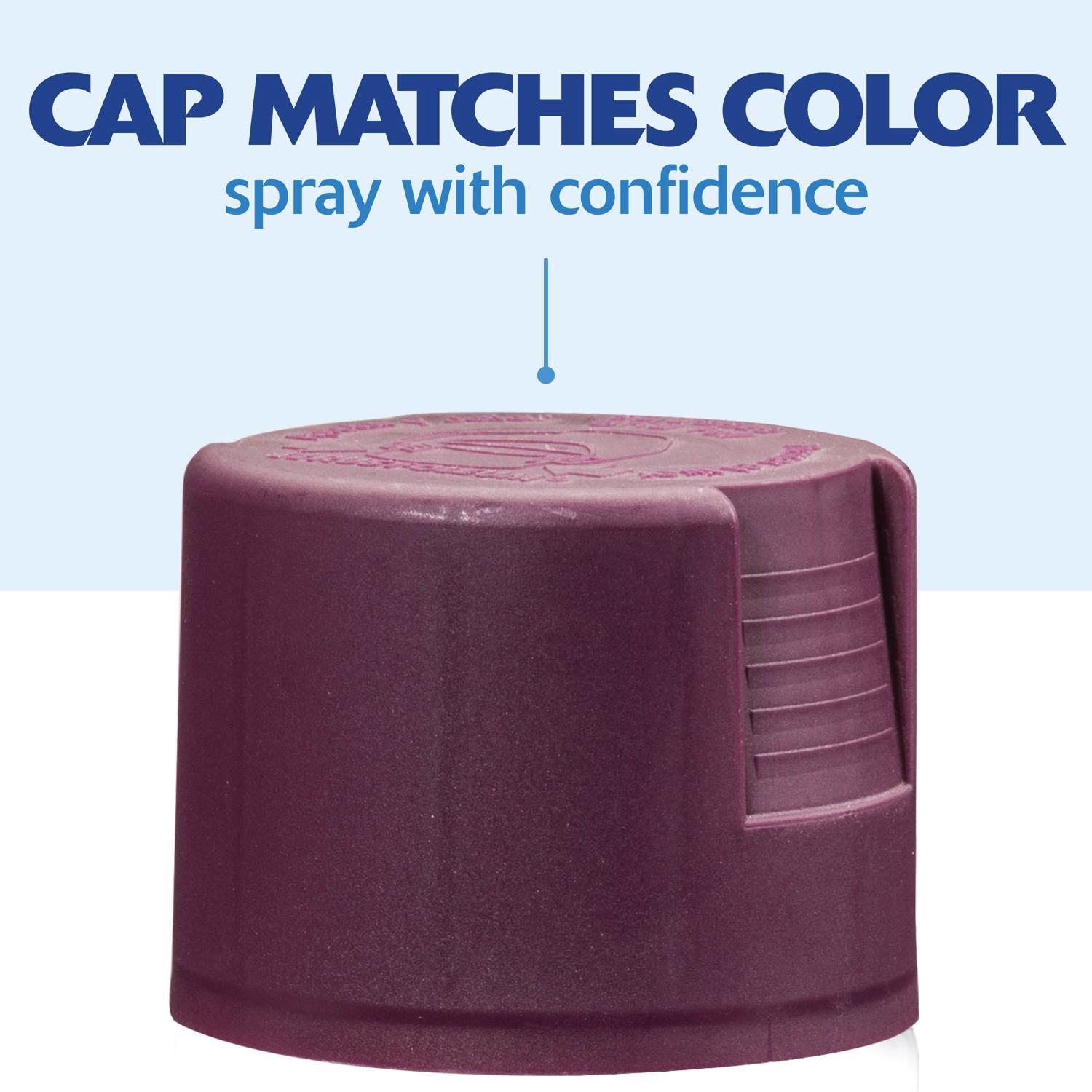 Rust-Oleum Painter's Touch 2X Ultra Cover Satin Aubergine Paint+Primer Spray Paint 12 oz