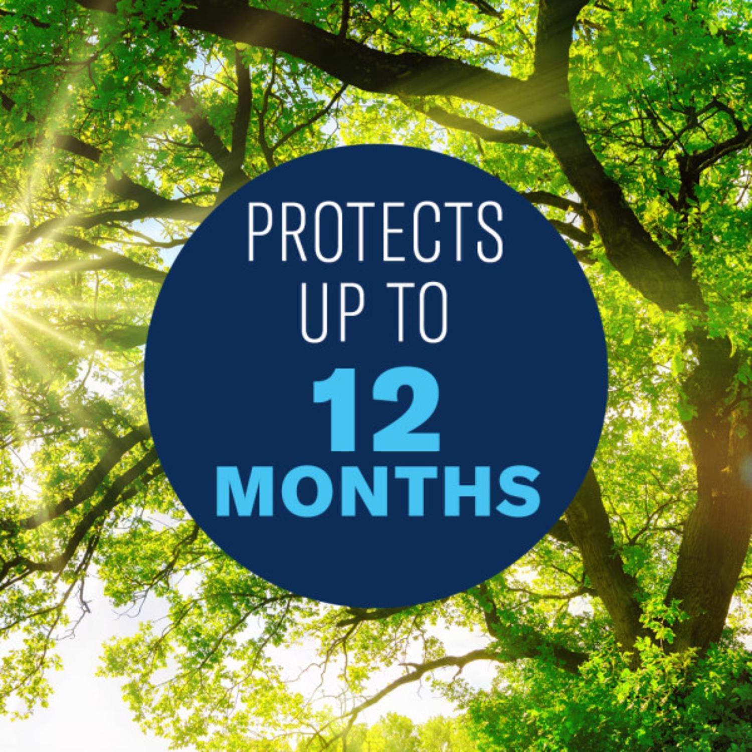 BioAdvanced 12 Month Tree and Shrub Protect & Feed Concentrate 32 oz