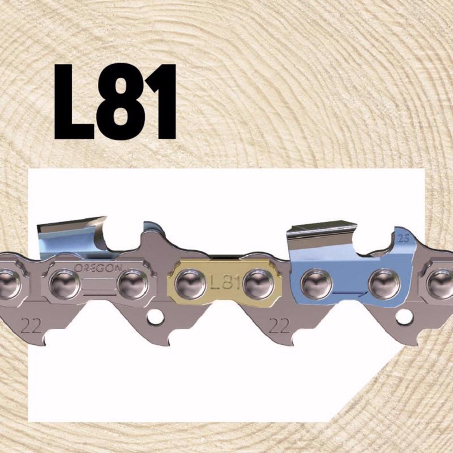 Oregon ControlCut L81 20 in. Chainsaw Chain 81 links
