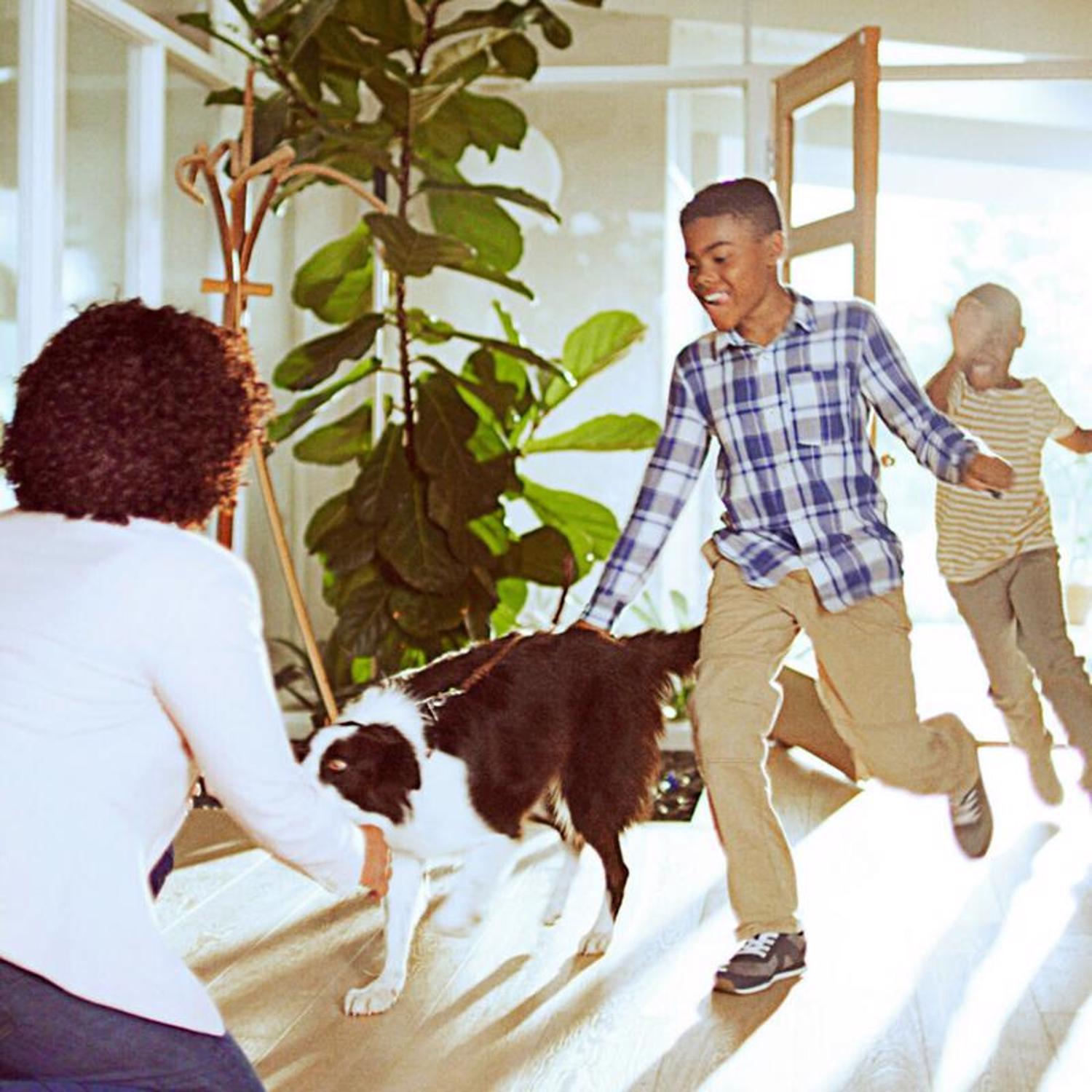 Filtrete 20 in. W X 24 in. H X 1 in. D 5 MERV Pleated Filter Dust 1 pk