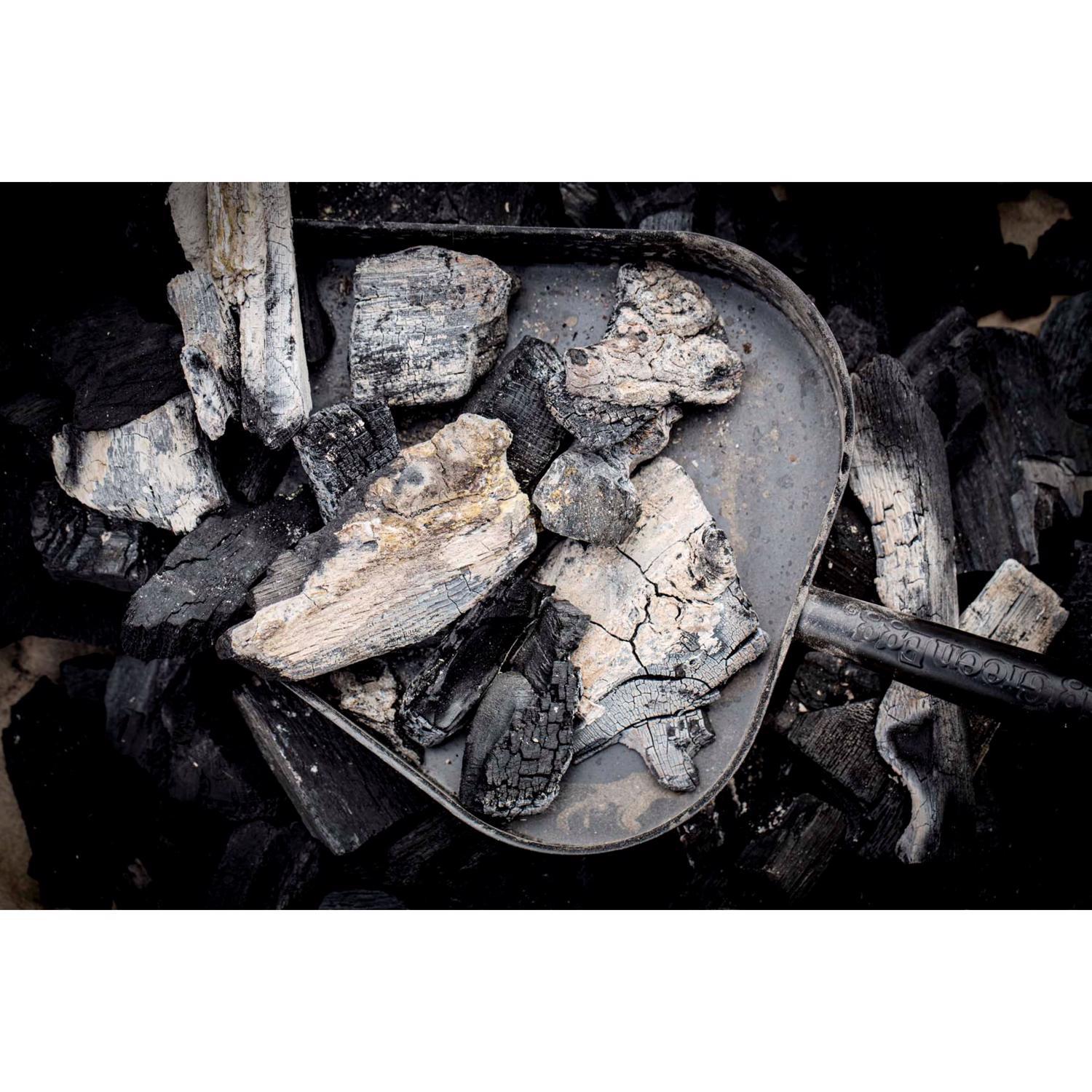 Big Green Egg Metal Ash Pan Catcher 14.25 in. L X 4.5 in. W For Big Green Egg, Fits All Egg Sizes