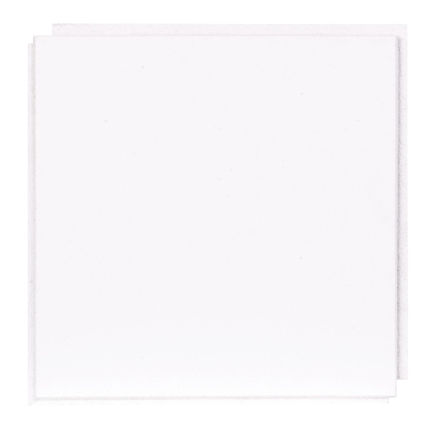 USG Custom 12 in. L X 12 in. W 0.5 in. Staple Ceiling Tile 1 pk