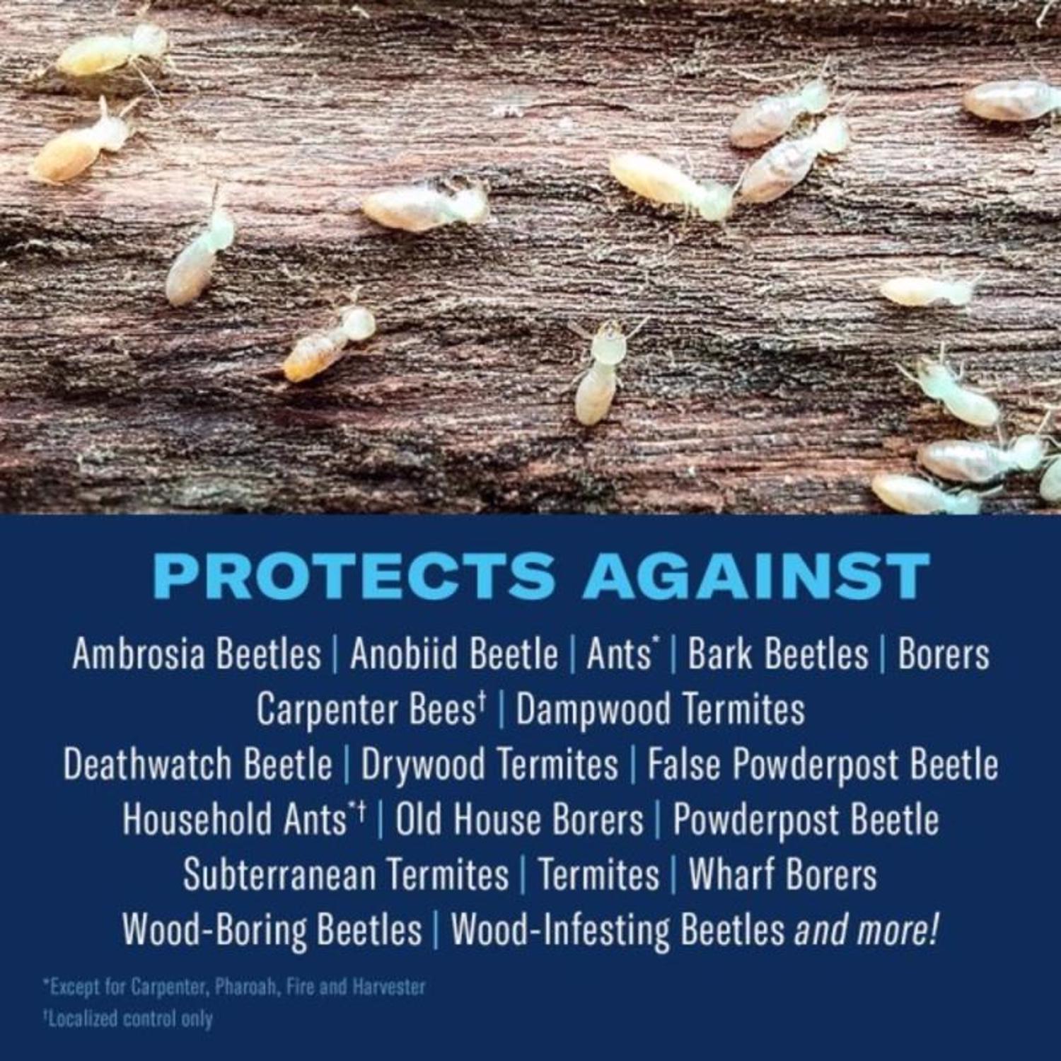 BioAdvanced Termite Killer Foam 18 oz