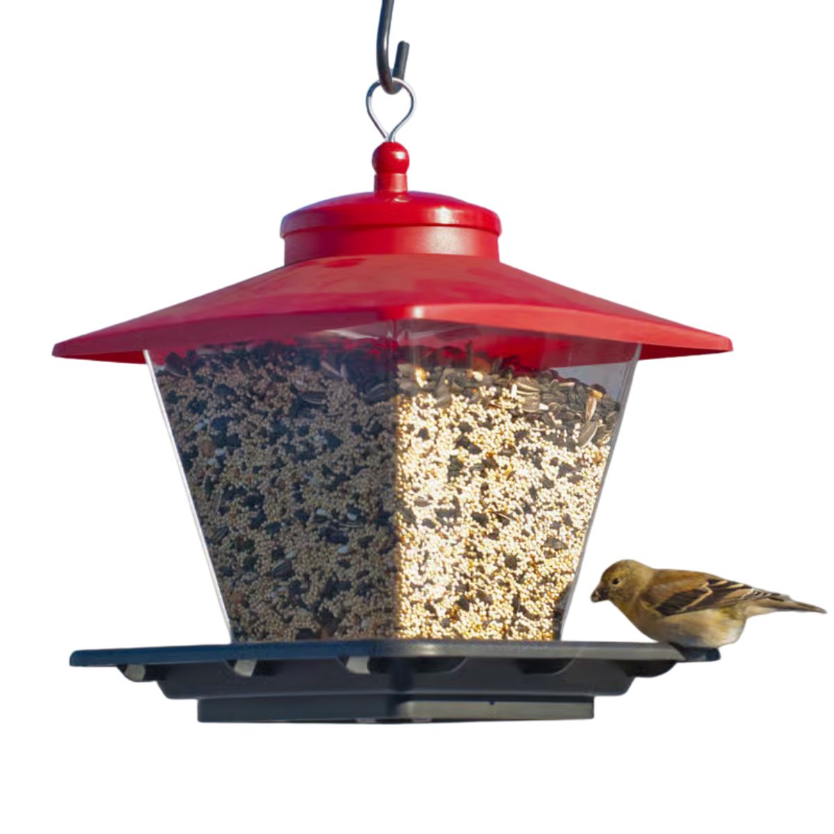 Audubon Wild Bird 7 lb Plastic Cafe Hopper Bird Feeder 4 ports