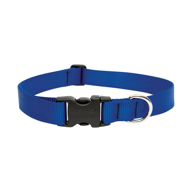 LupinePet Basic Solids Blue Blue Nylon Dog Adjustable Collar