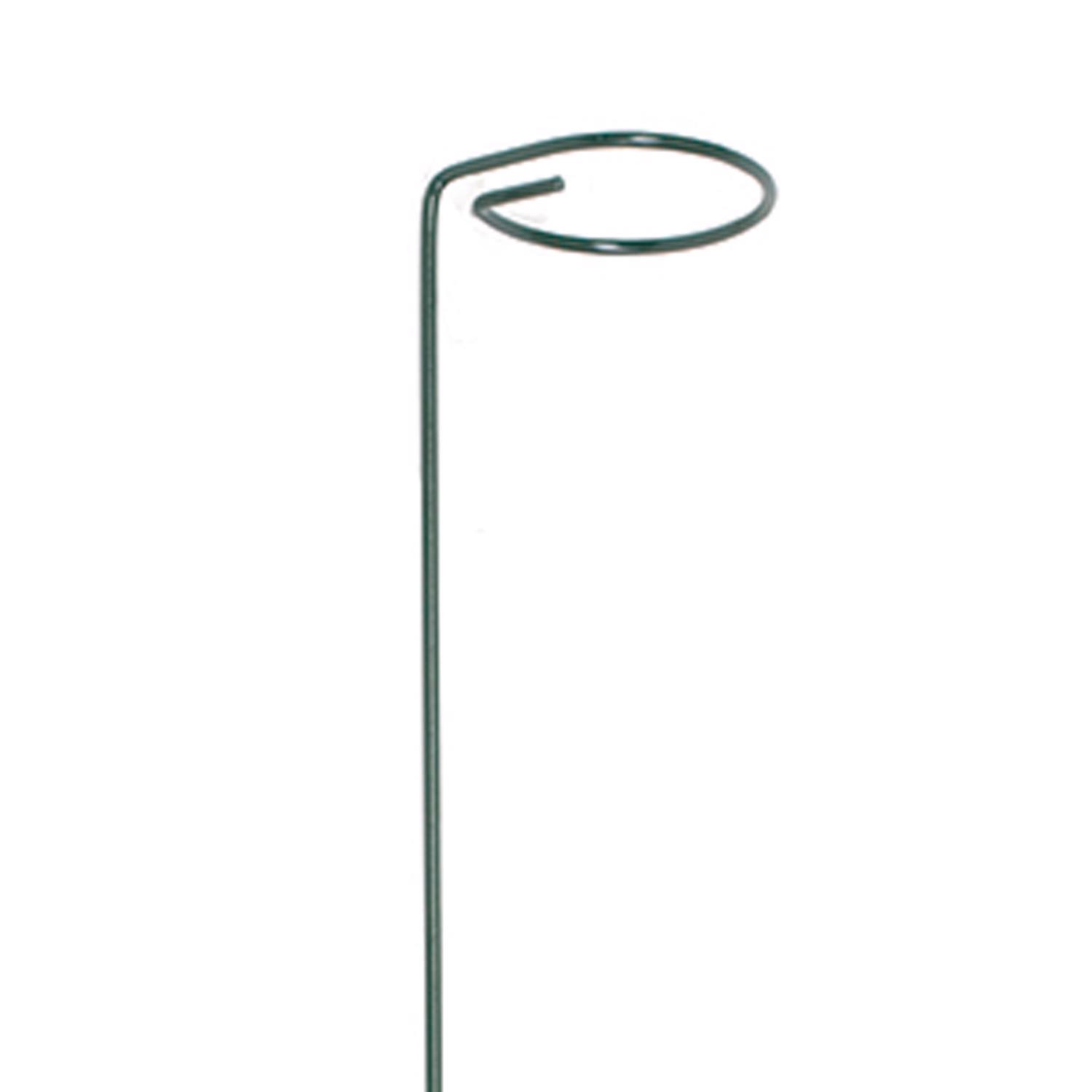 Panacea 24 in. H X 2 in. ft. W Green Steel Plant Support