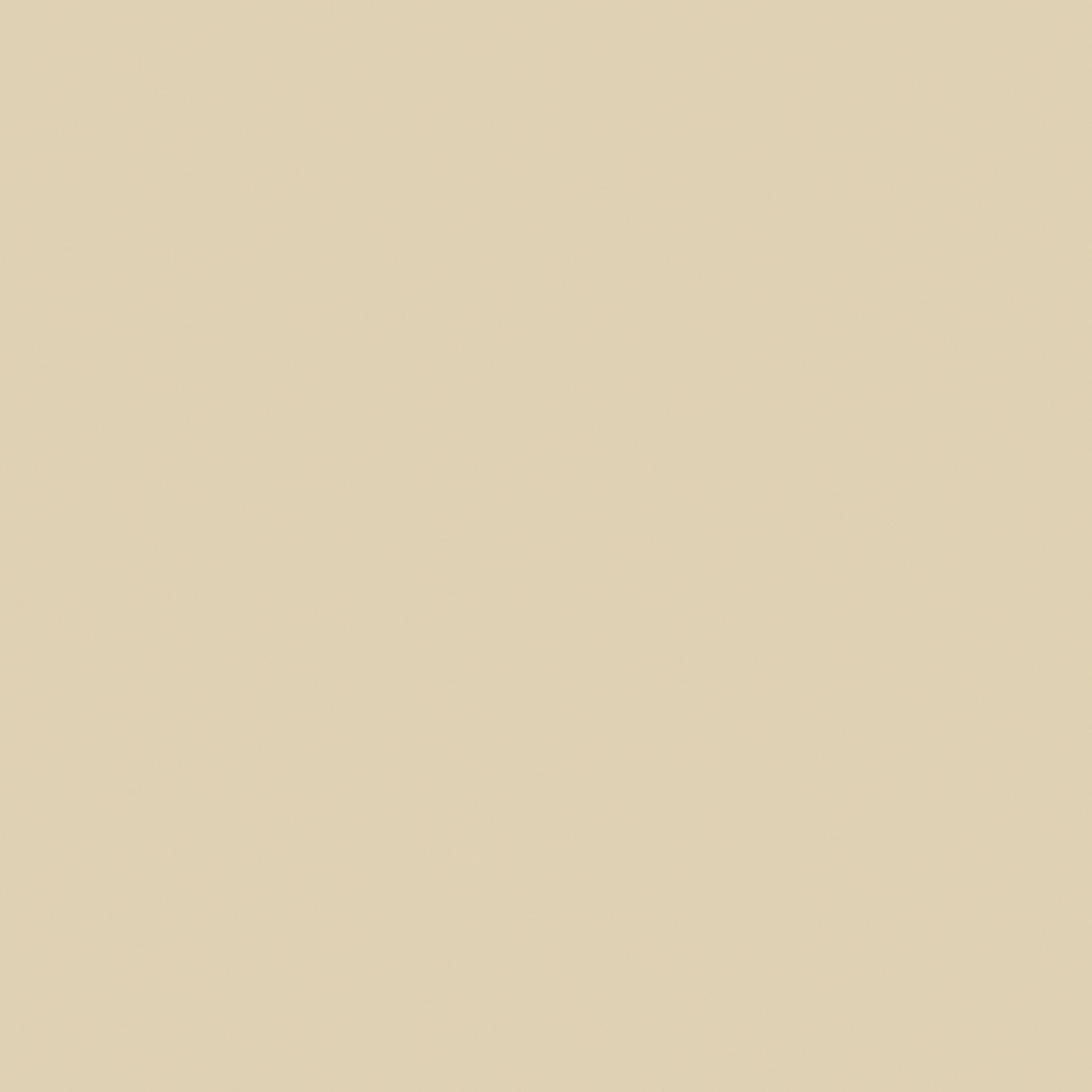 Rust-Oleum Professional Almond Spray Paint 15 oz