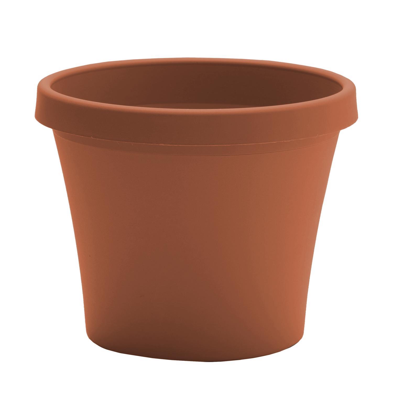 Bloem Terra 5.5 in. H X 6.5 in. W Resin Traditional Planter Terra Cotta