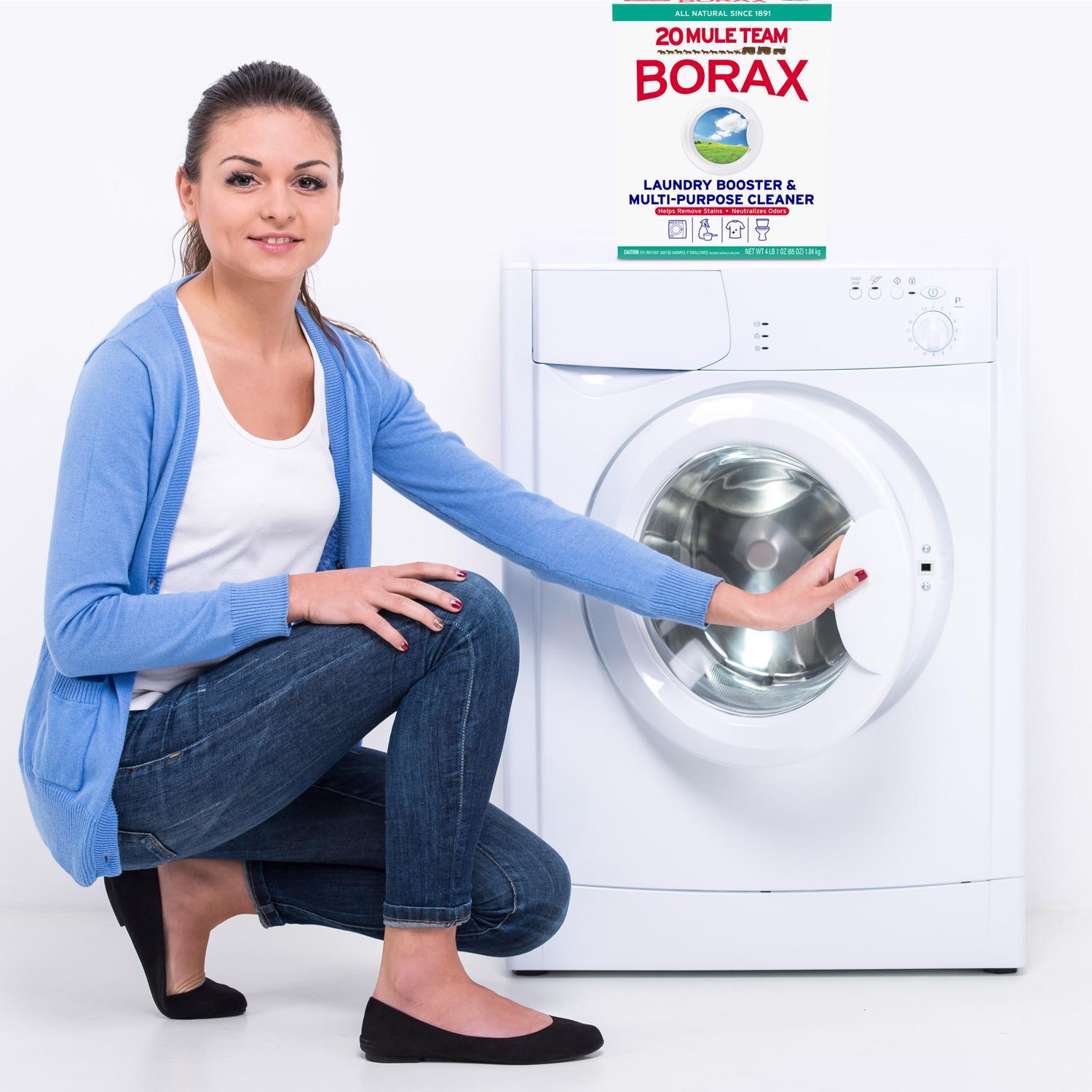 20 Mule Team Borax N/A No Scent Detergent Booster and Household Cleaner Powder 4 lb 1 pk