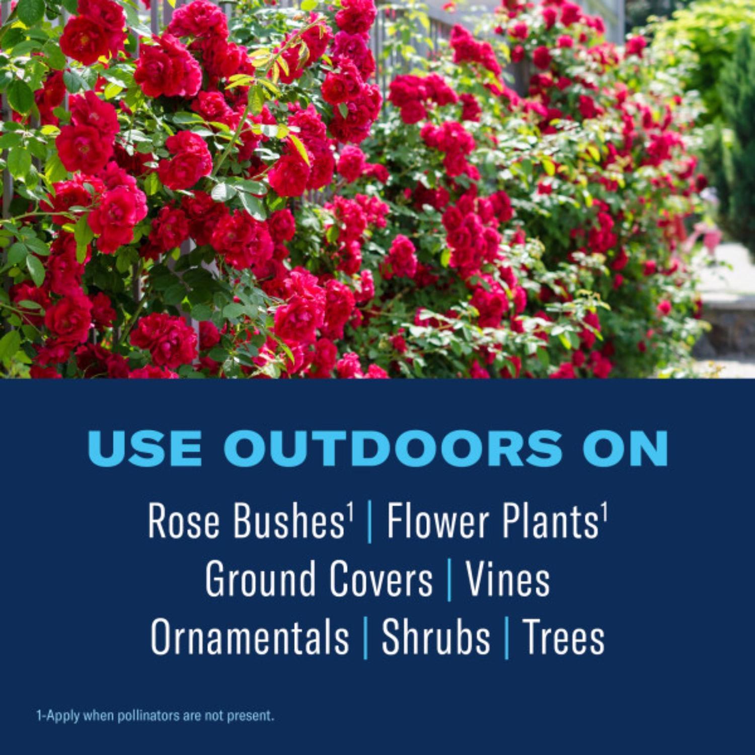 BioAdvanced All-in-One, Ready-to-Use Rose and Flower Care Spray 24 oz