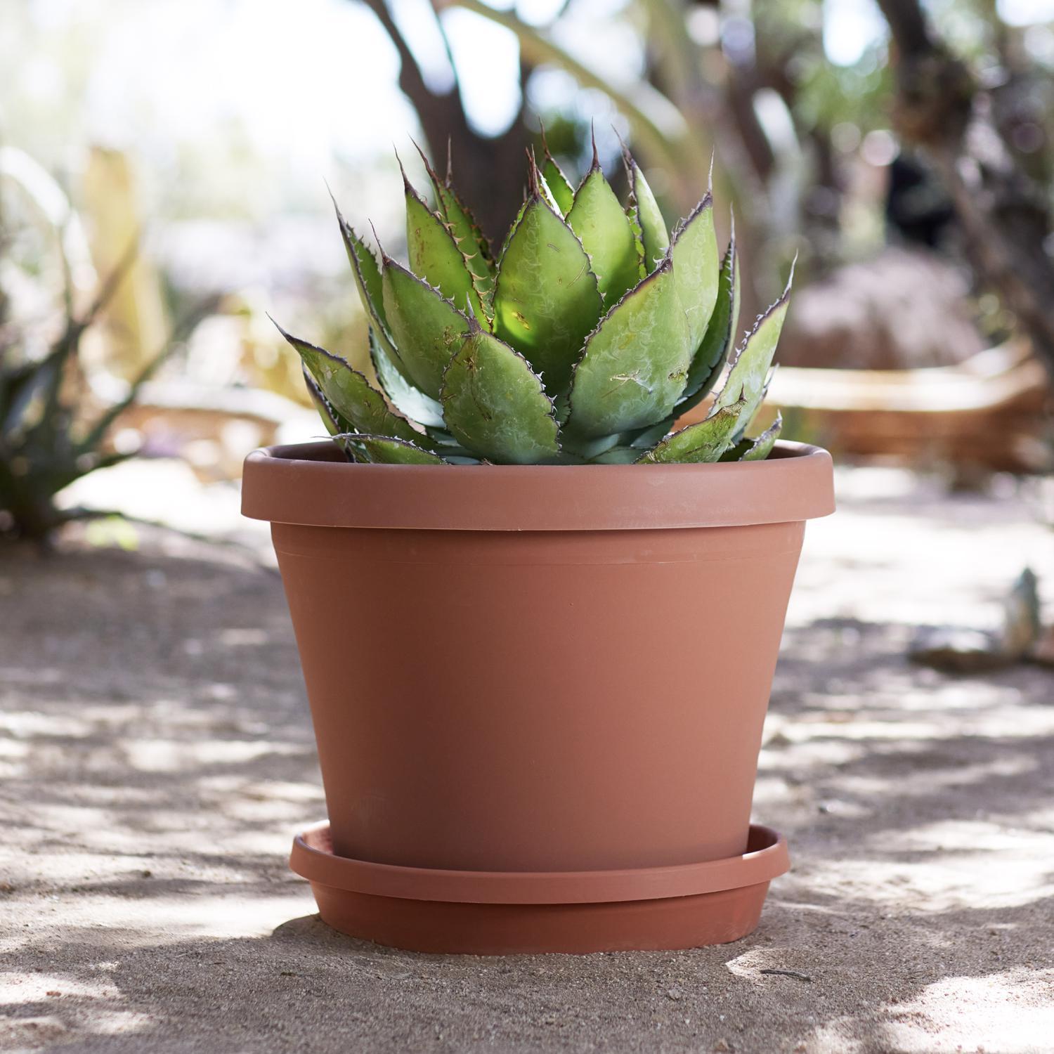 Bloem Terra 2.7 in. H X 14.75 in. W X 16 in. D Resin Traditional Plant Saucer Terra Cotta