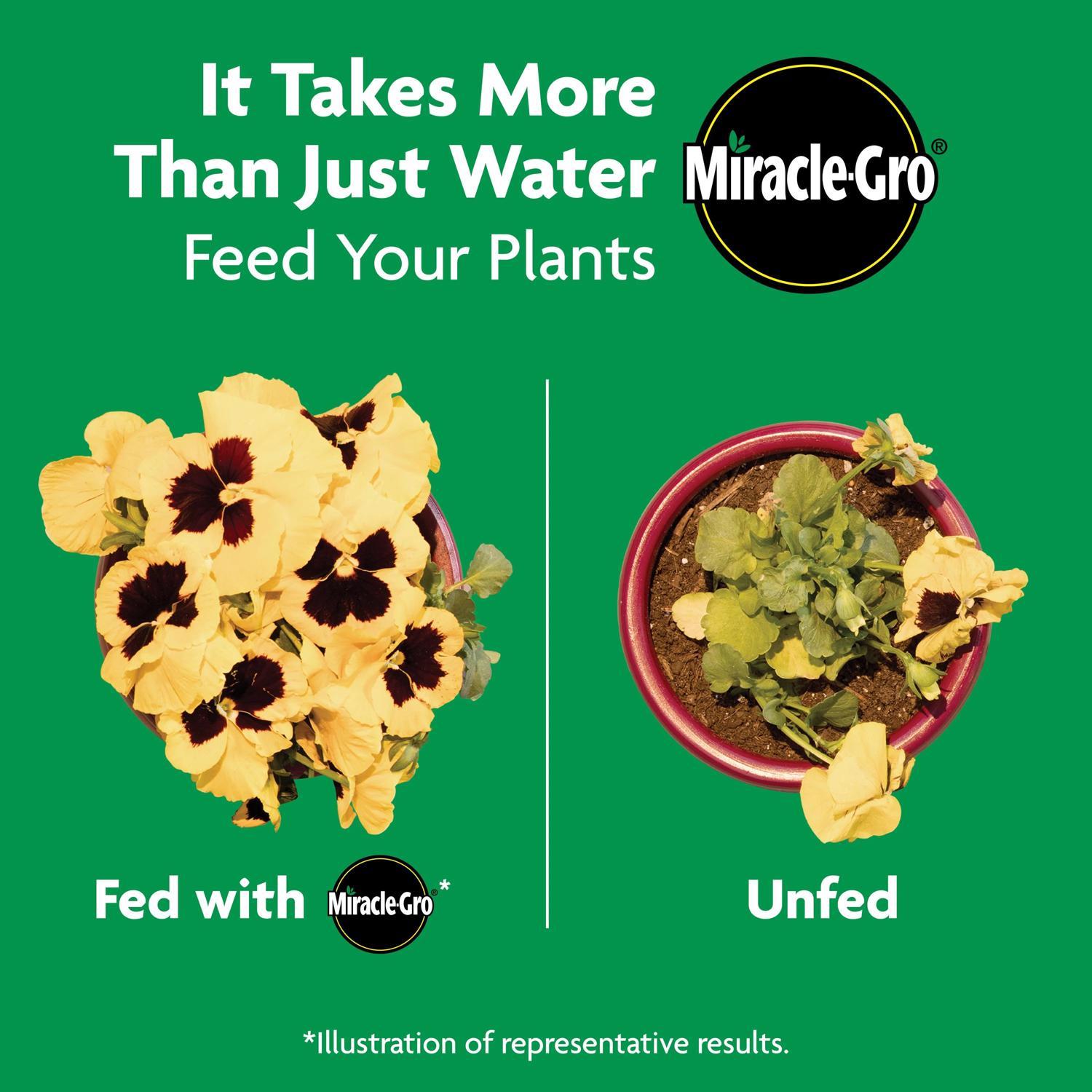 Miracle-Gro Shake 'n Feed Granules Plant Food 4.5 lb