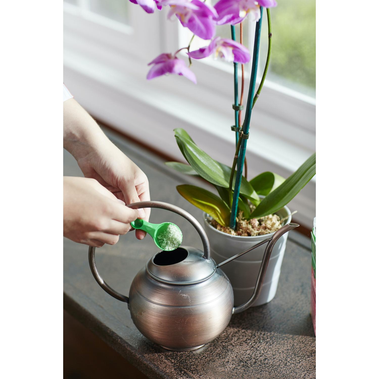 Miracle-Gro Granules Orchids Plant Food 8 oz