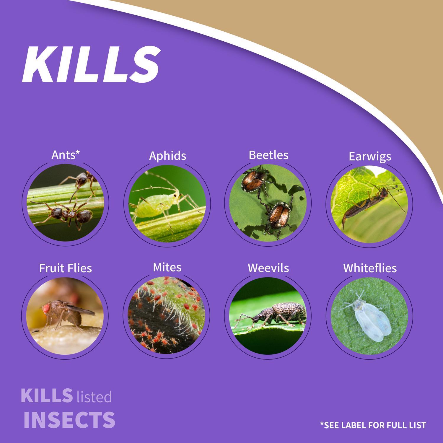 Bonide Tomato & Vegetable 3 in 1 Organic 3 in 1 Garden Insect Spray Liquid 32 oz