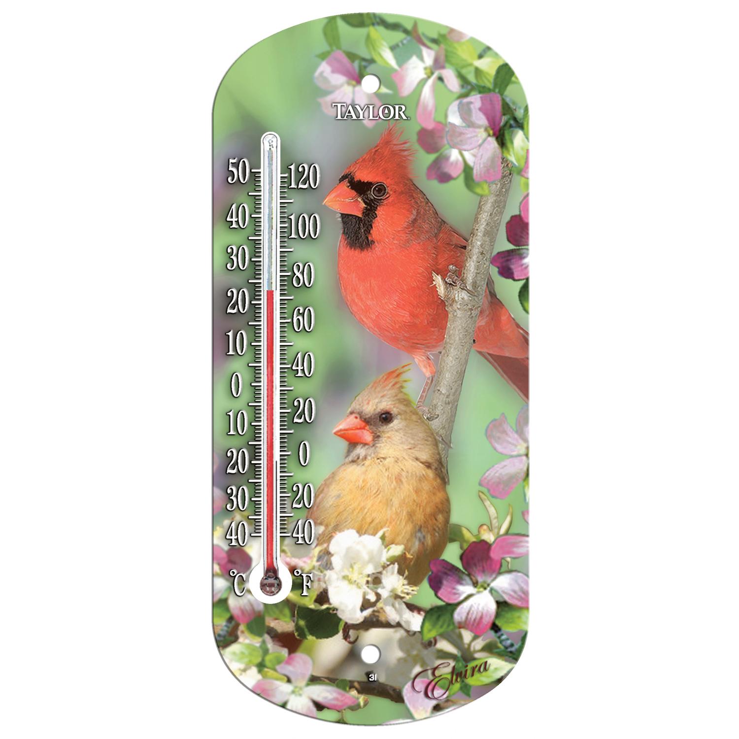 Taylor Bird Design Tube Thermometer Plastic Multicolored 8 in.