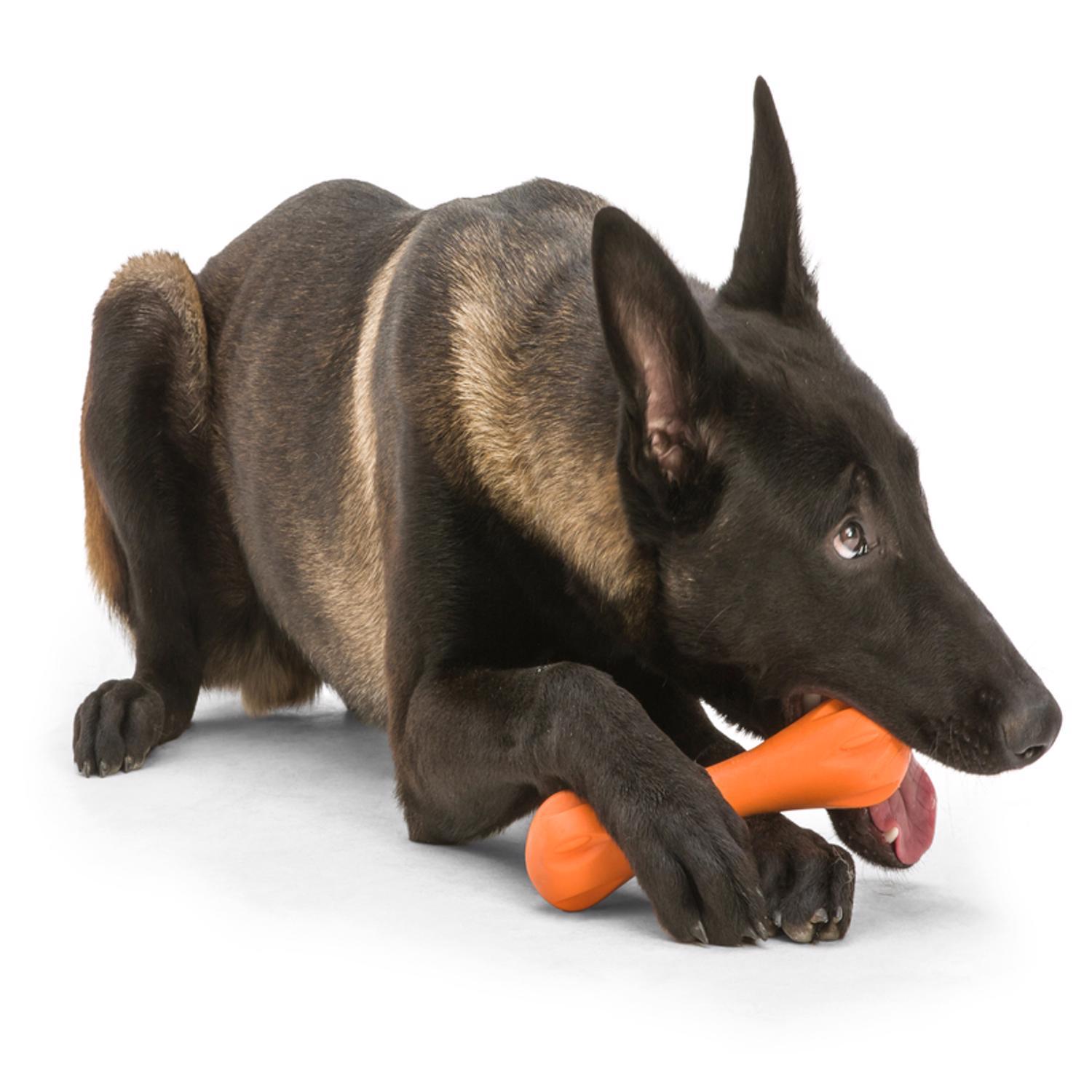 West Paw Zogoflex For Dog Plastic Hurley Bone Chew Dog Toy Small 1 pk