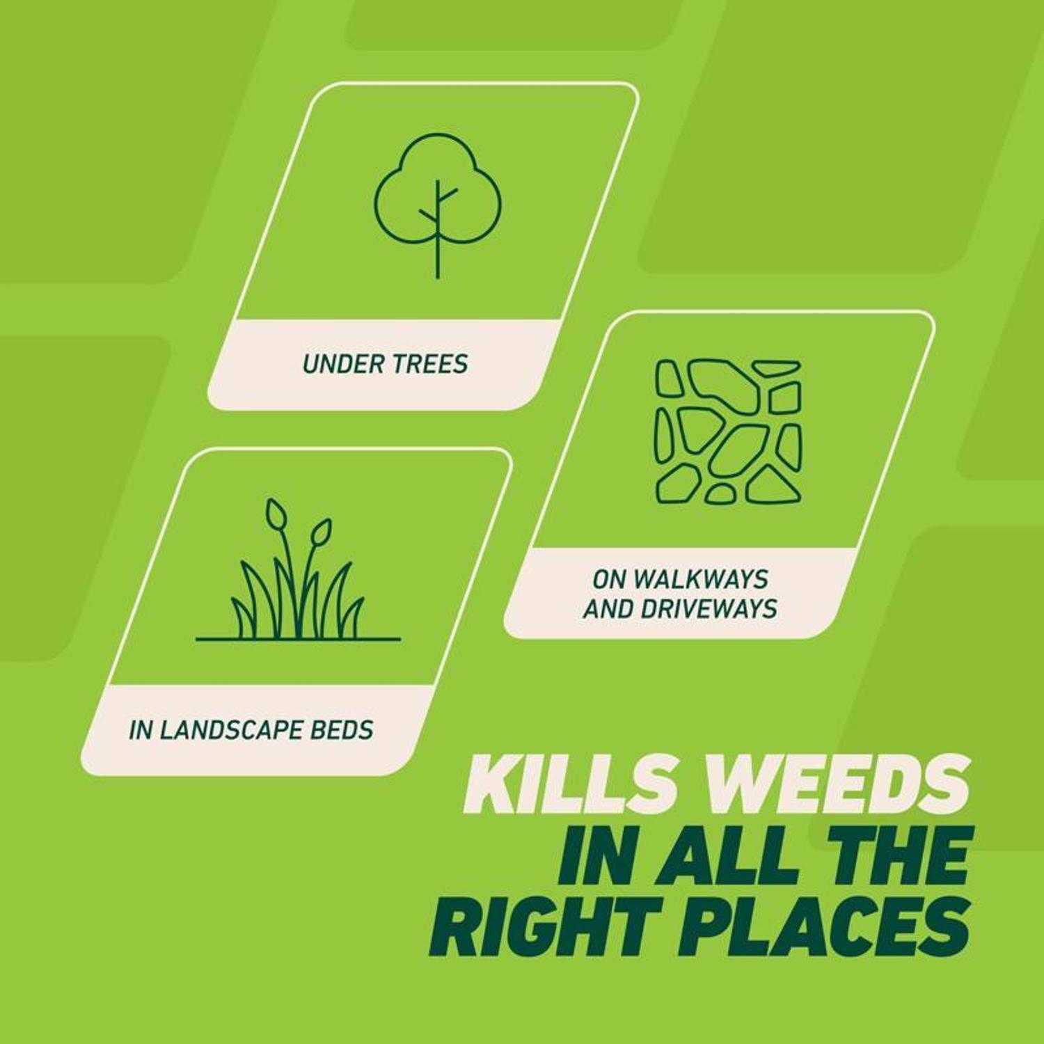 Ortho GroundClear Weed and Grass Killer RTU Liquid 1 gal
