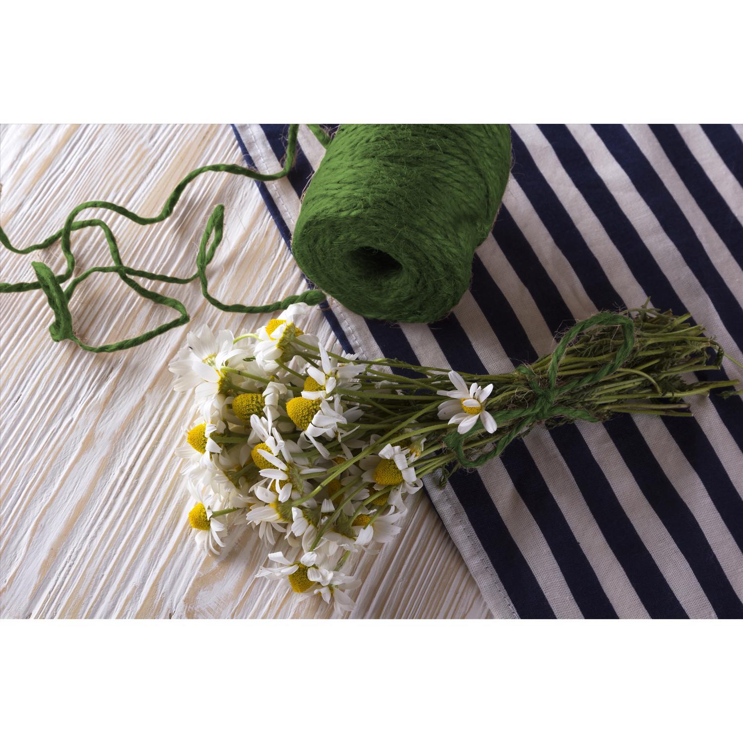 Panacea 0.08 in. W Green Fabric Garden Twine