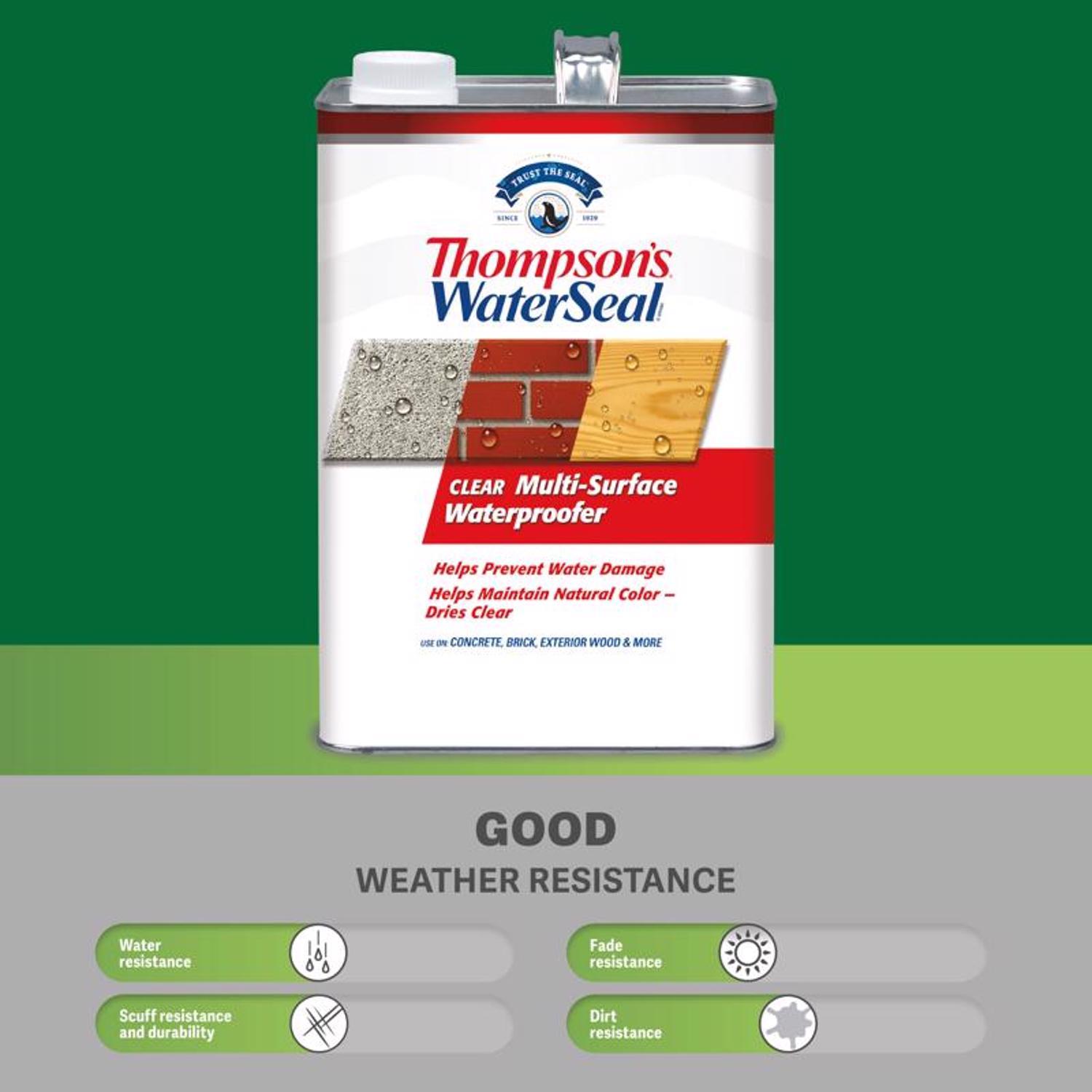 Thompson's WaterSeal Flat Clear Multi-Surface Waterproofer 1.2 gal