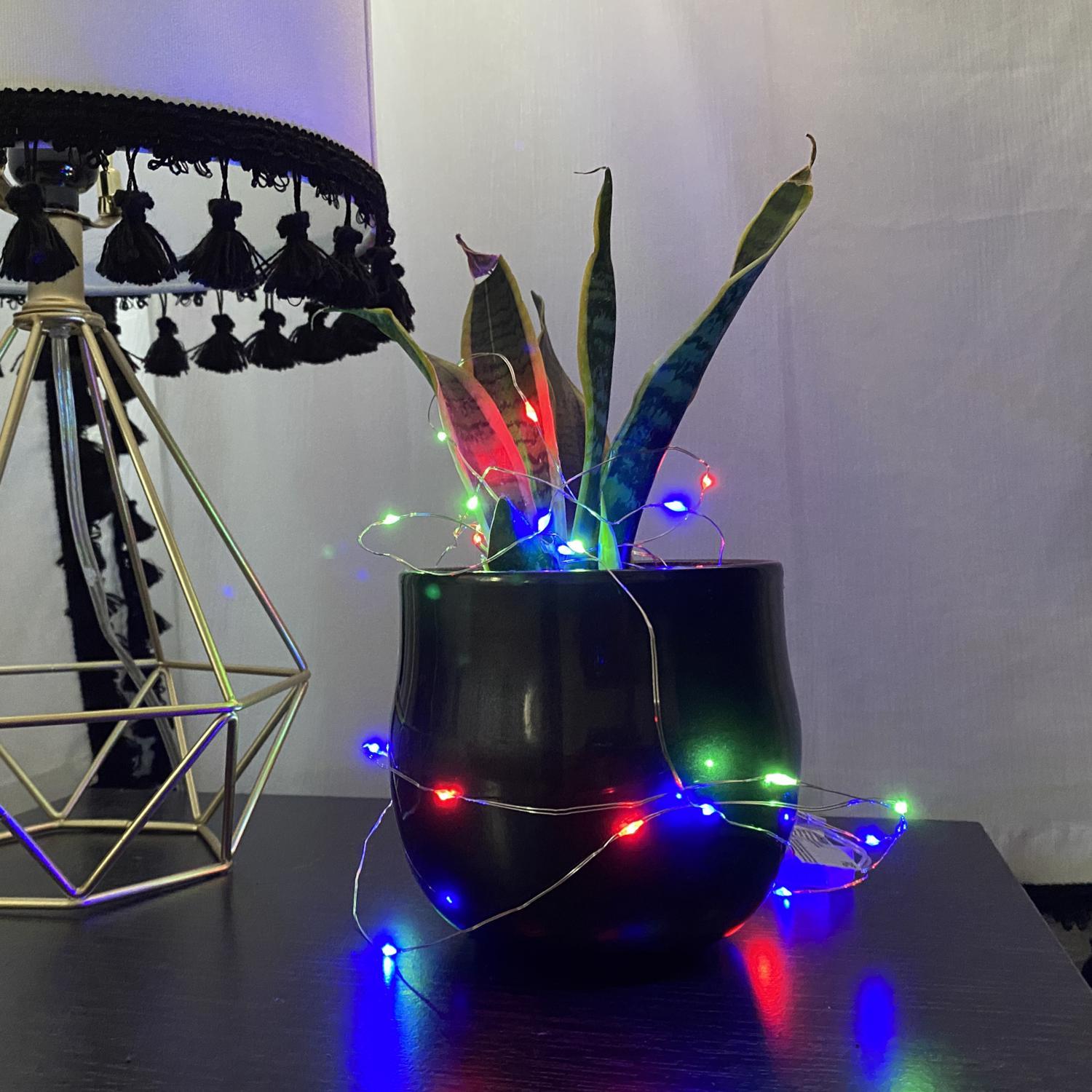 Feit LED Fairy String Lights Multicolored 30 ft. 100 lights