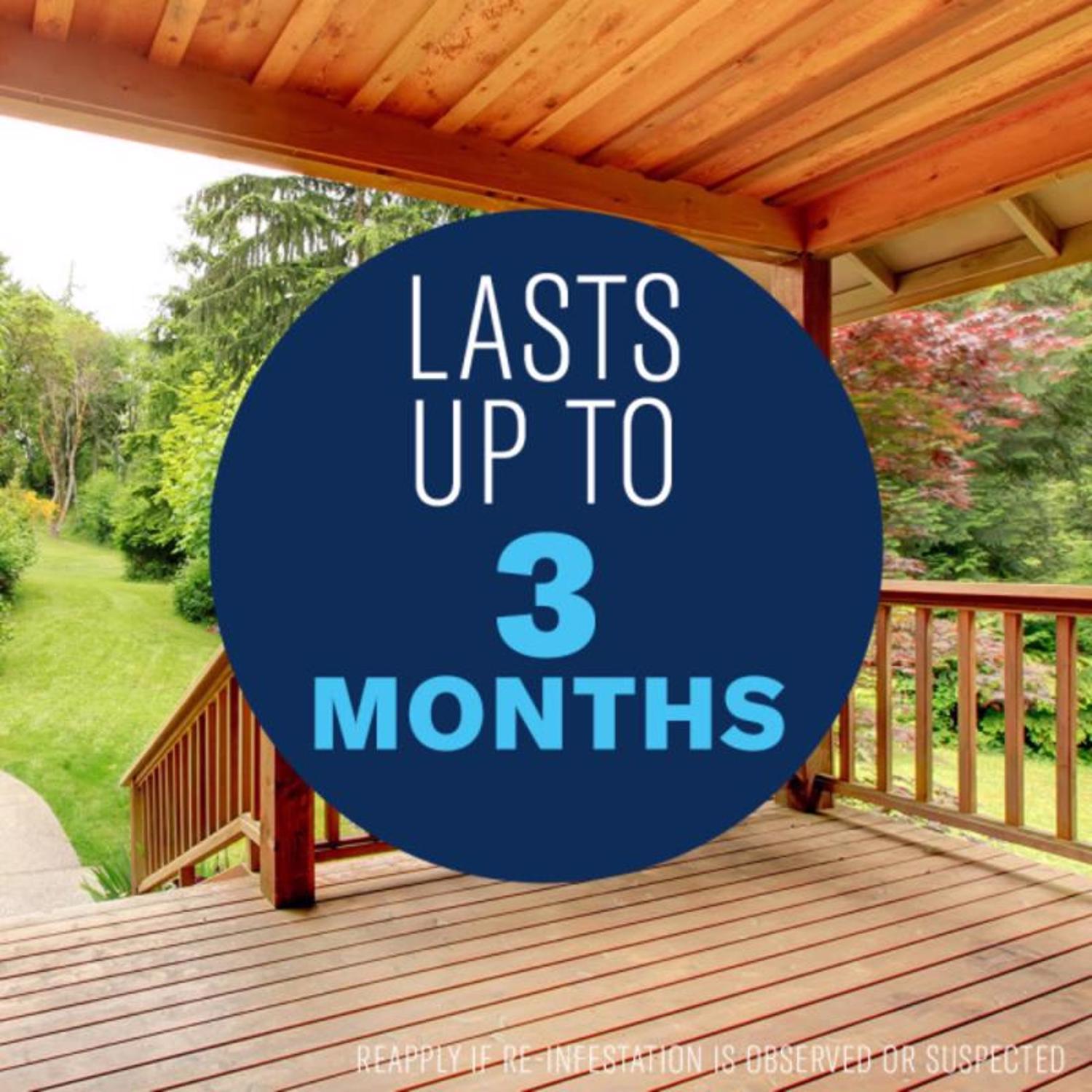 BioAdvanced Termite Killer Foam 18 oz