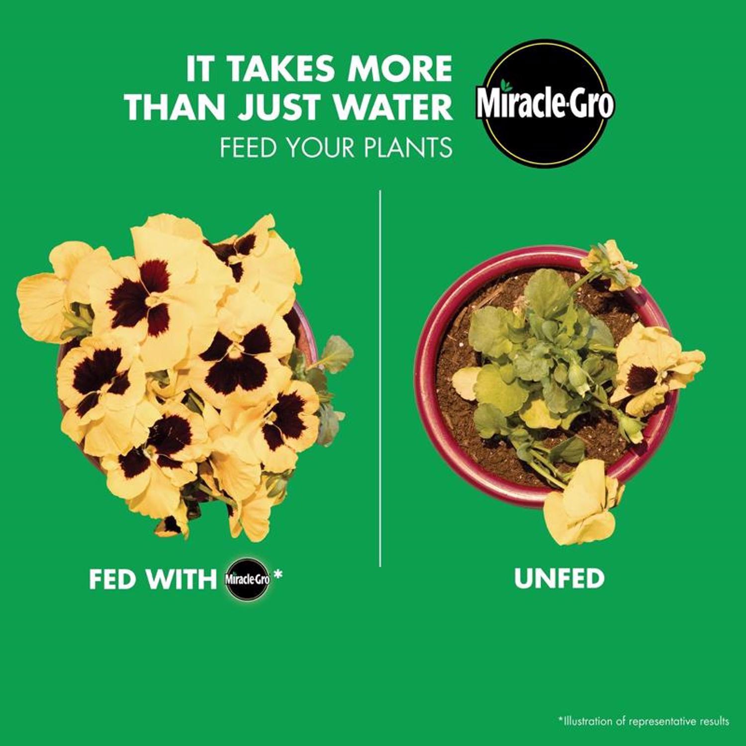 Miracle-Gro Liquid Plant Food 1 qt