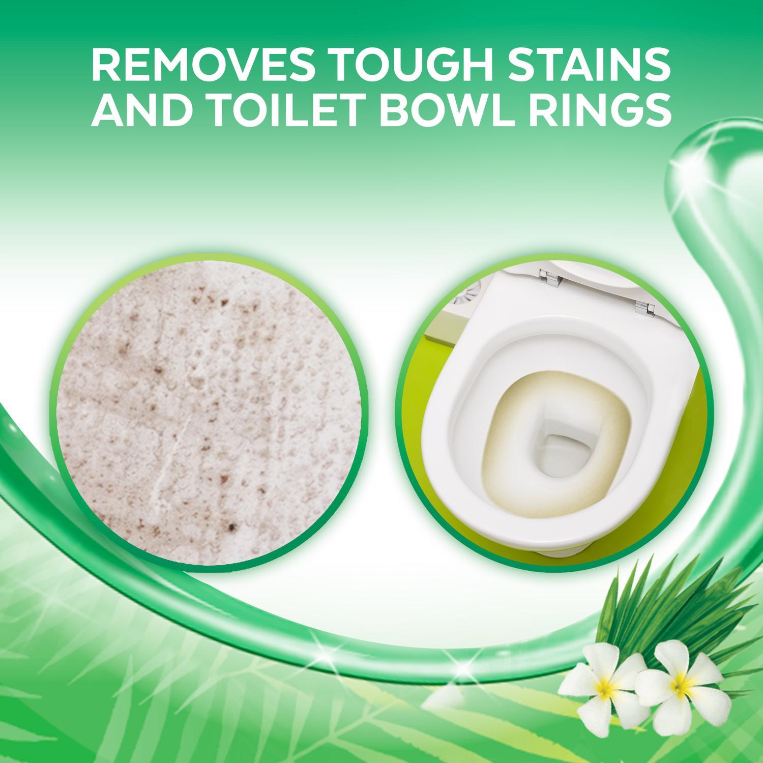 Lysol Cling Gel Country Scent Toilet Bowl Cleaner 24 oz Gel