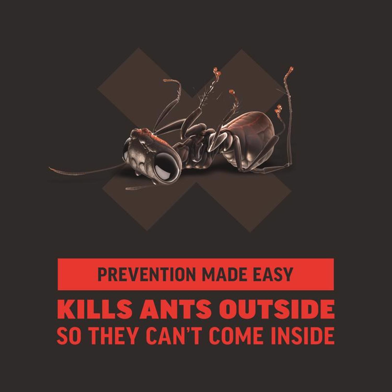 Amdro Ant Block Insect Killer 24 oz