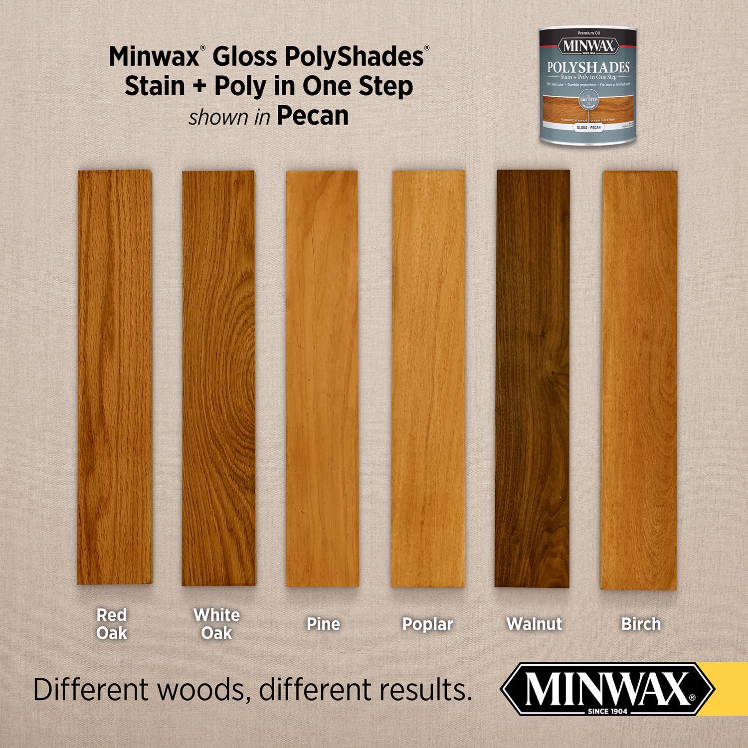 Minwax PolyShades Semi-Transparent Gloss Pecan Oil-Based Stain/Polyurethane Finish 1 qt