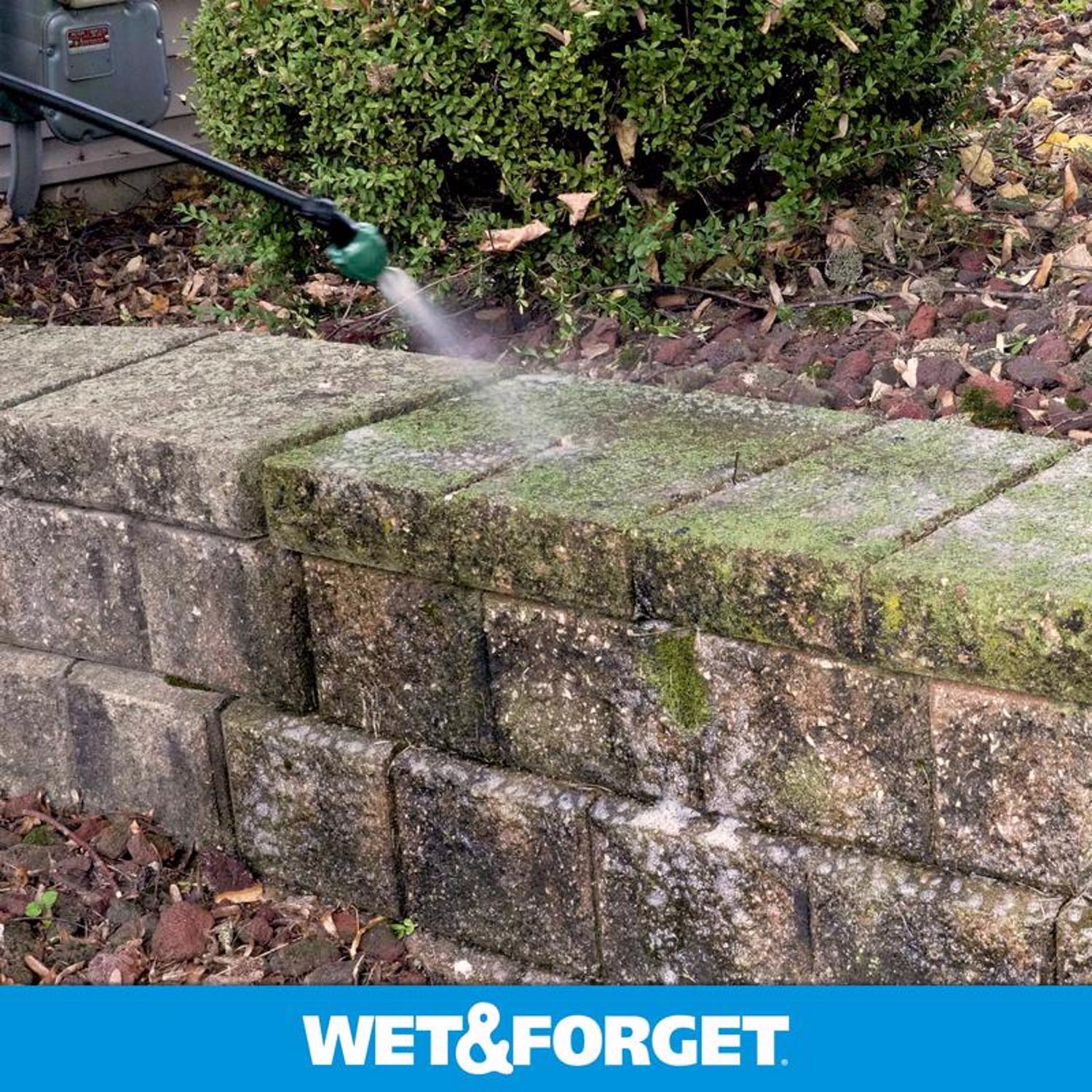 Wet & Forget Outdoor Cleaner Concentrate 0.5 gal