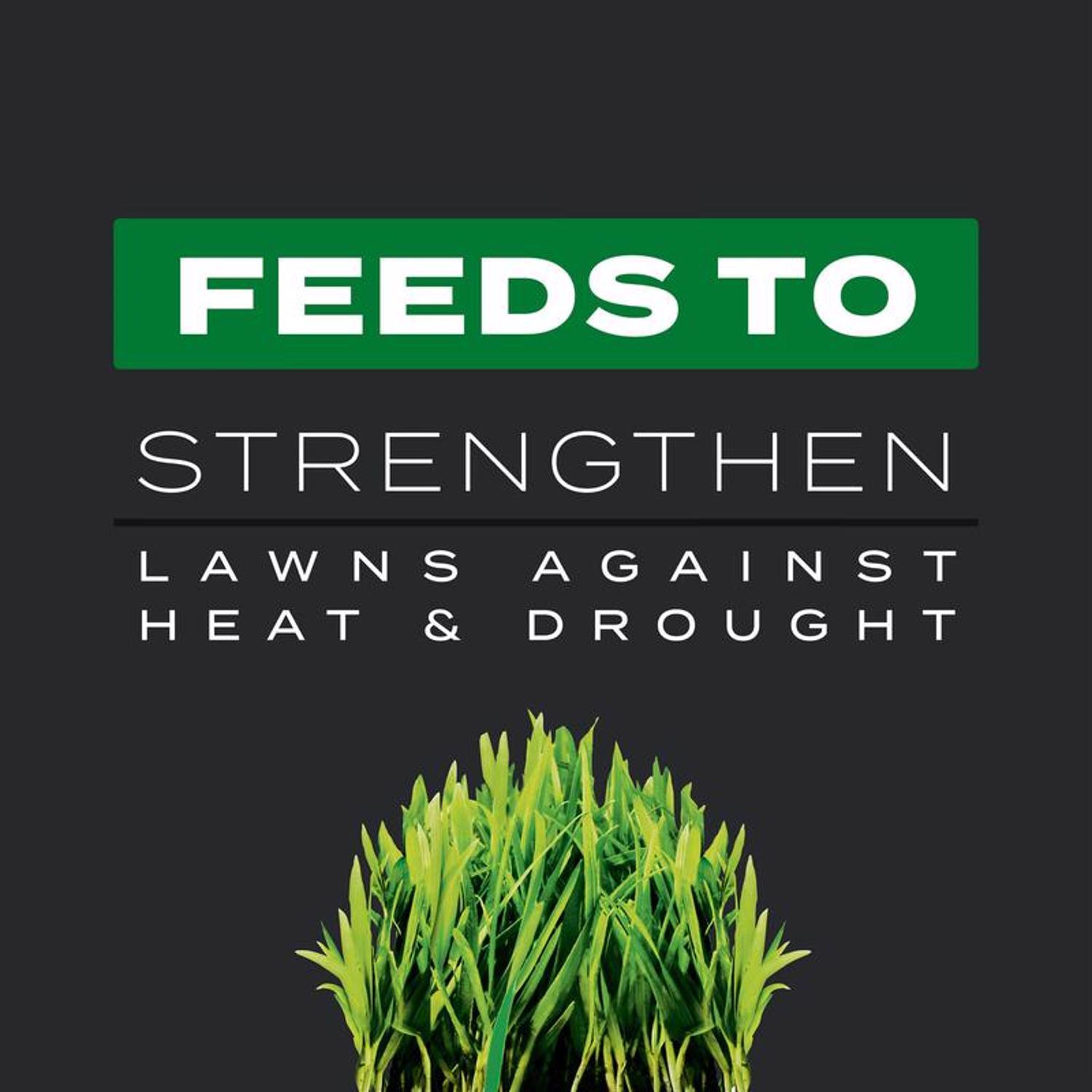 Scotts Turf Builder Southern Triple Action Weed & Feed Lawn Fertilizer For All Grasses 8000 sq ft