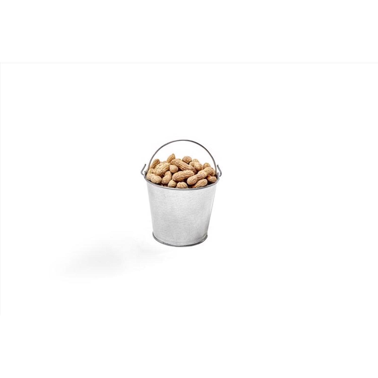 Behrens Hot Dipped 2 qt Galvanized Pail Gray