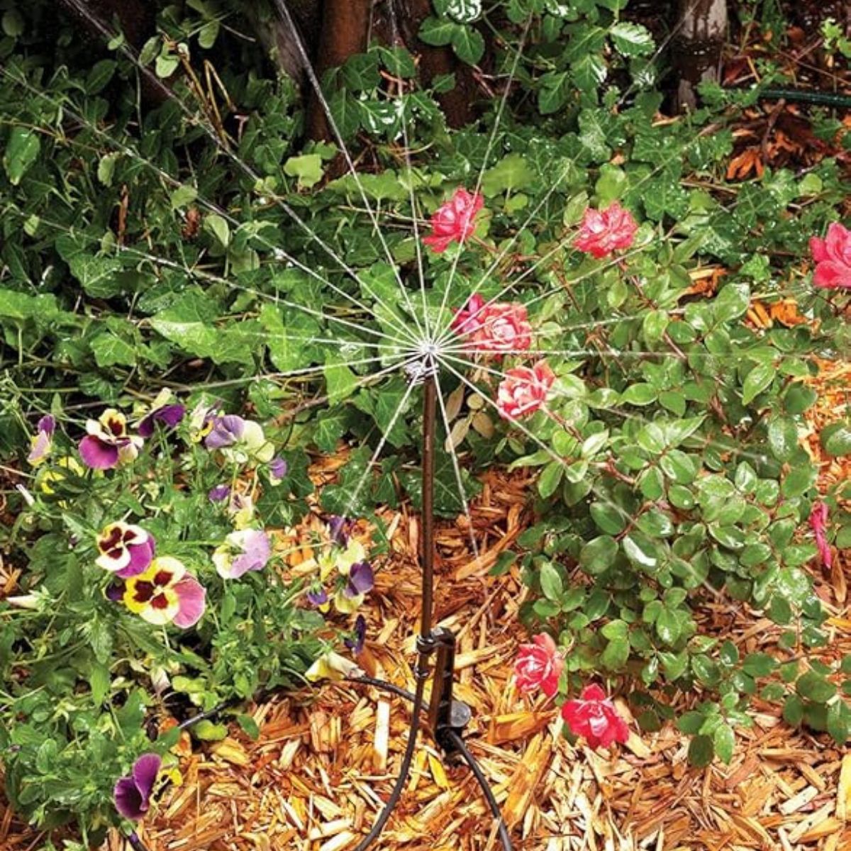 Rain Bird MSSTKTF1S Drip Irrigation Micro-Spray on Adjustable Height
