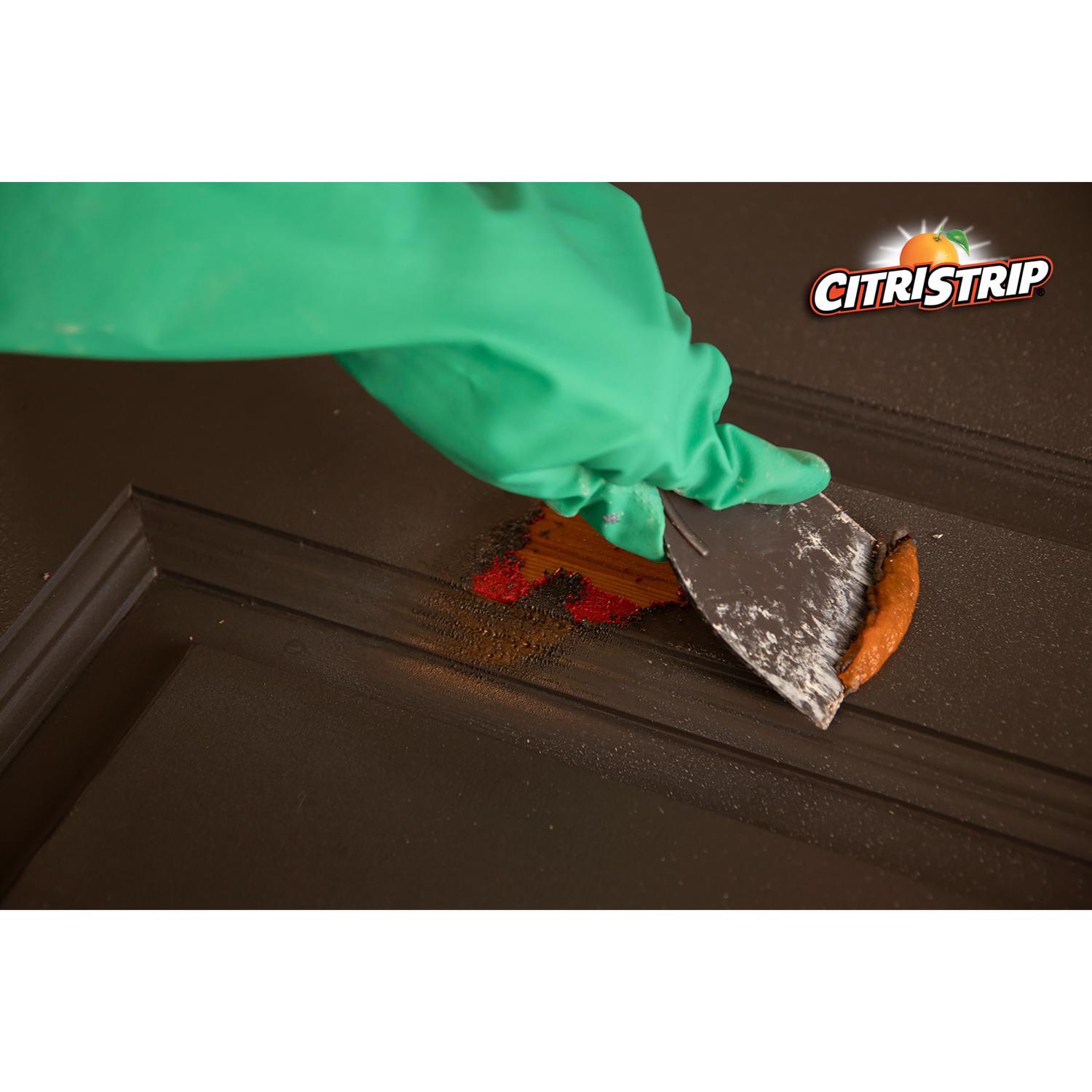 Citristrip Safer Paint and Varnish Stripper 17 oz