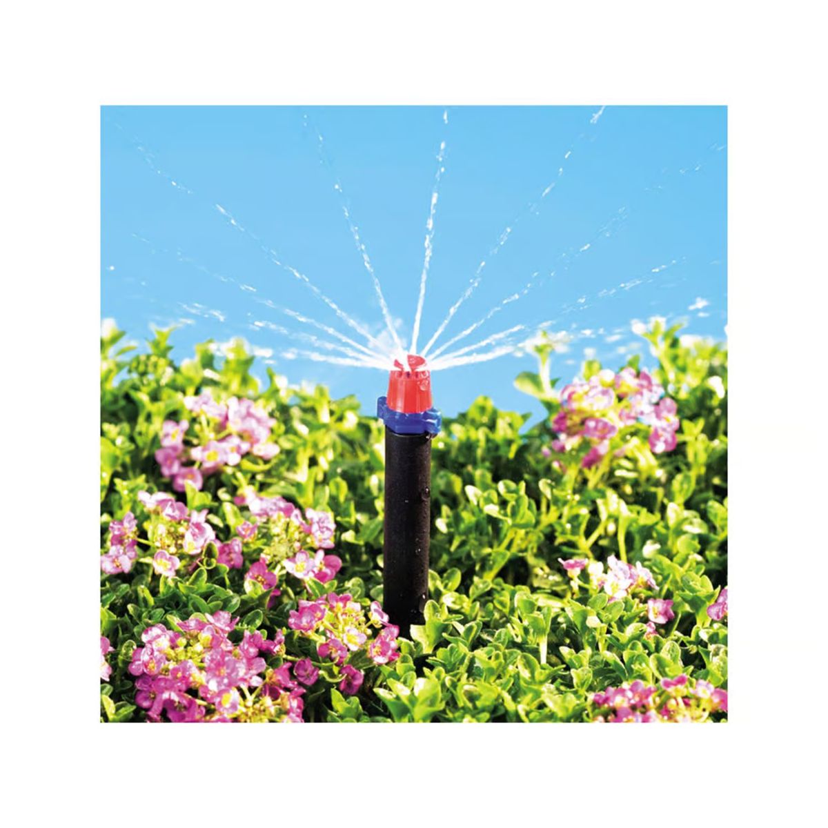 Raindrip Full-Circle Drip Irrigation Micro Spray 12 gph 10 Pack
