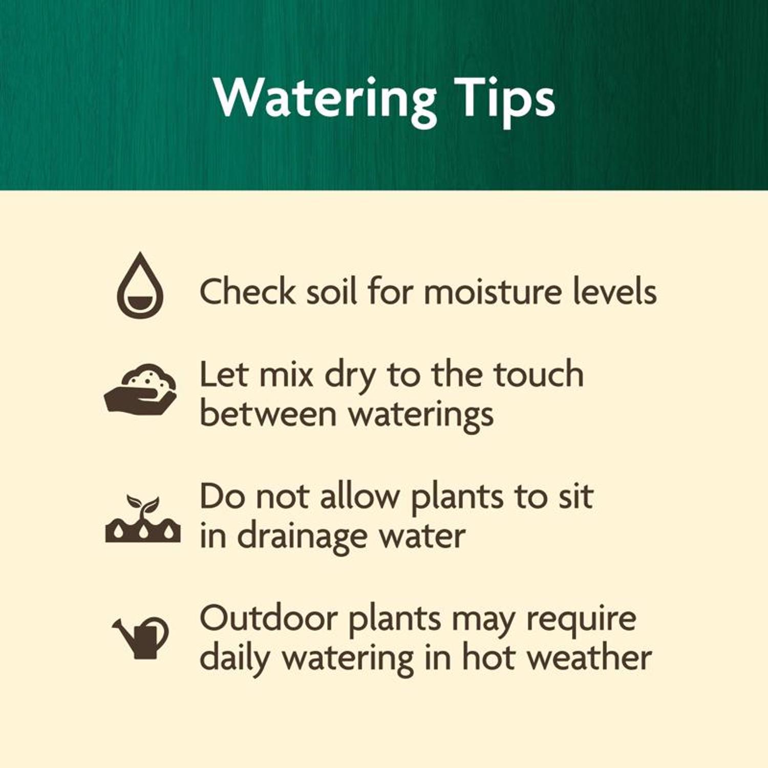 Miracle-Gro Organic Liquid Plant Food 32 fl. oz.