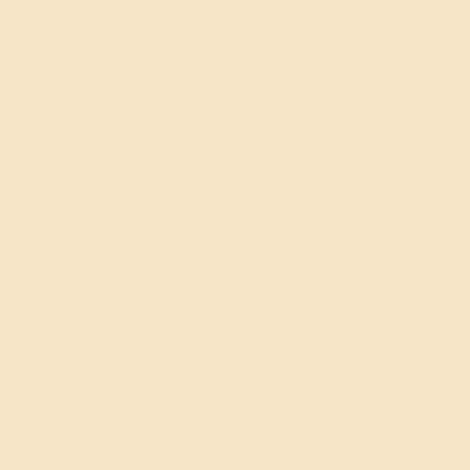 Homefront Satin Antique White Hobby Paint 2 oz