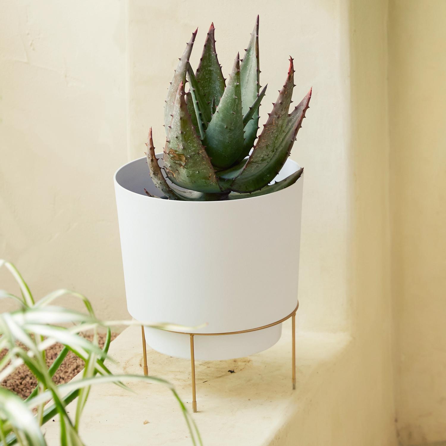 Bloem Hopson 12 in. H X 10 in. W X 10 in. D X 10 in. D Metal/Plastic Metal Stand Planter with Stand