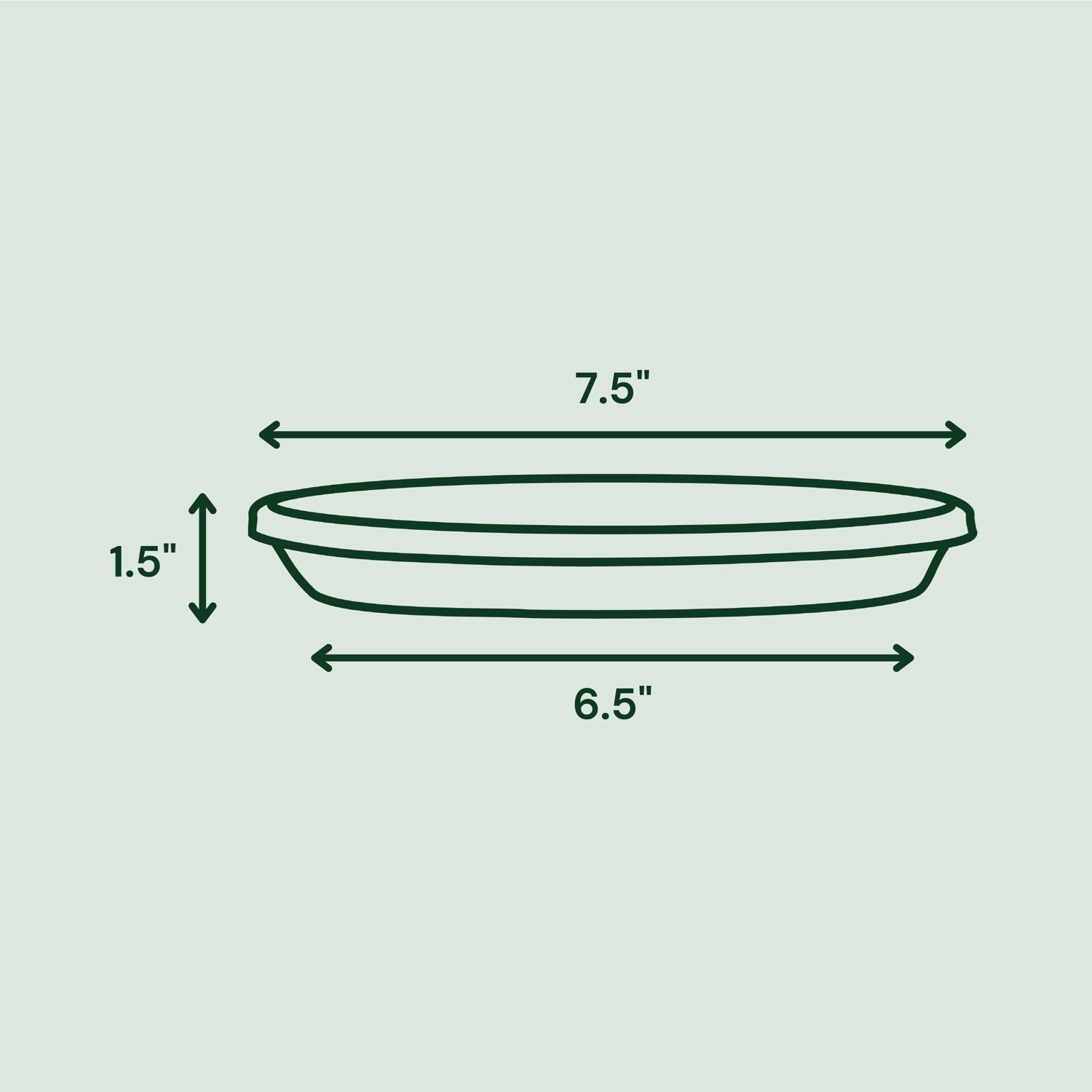 Bloem Terra 1.5 in. H X 7.5 in. W X 6.5 in. D Resin Traditional Plant Saucer Terra Cotta