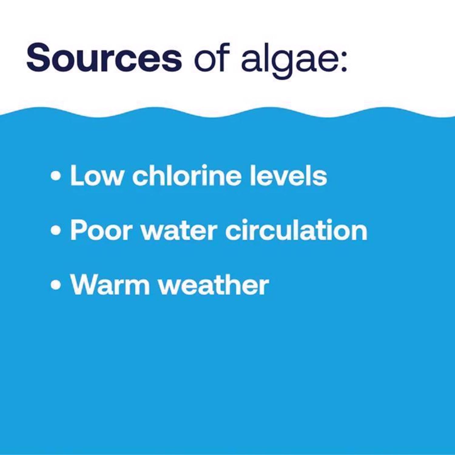 HTH Pool Care Liquid Algae Guard 1 gal