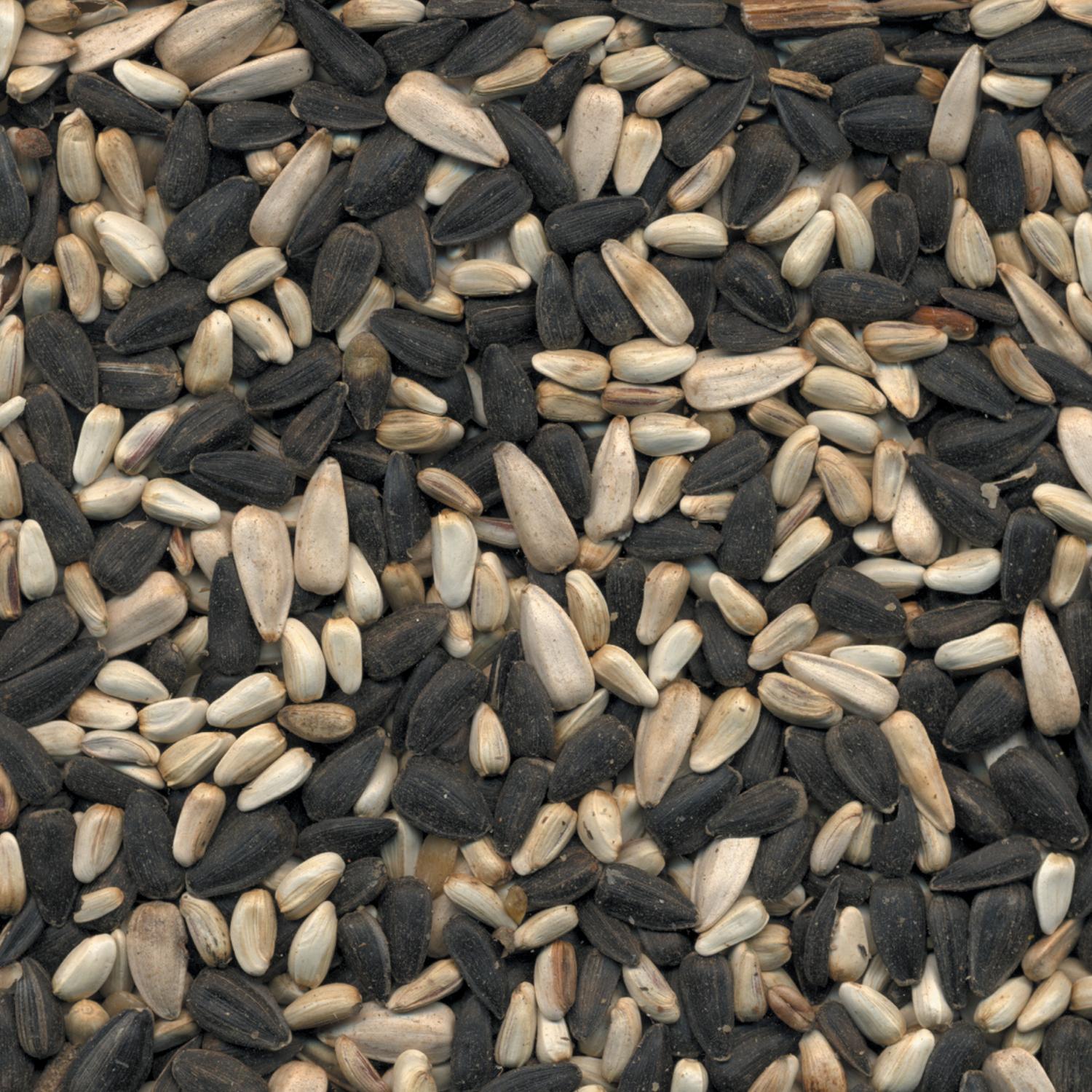 Kaytee Wild Bird Food 15 lb