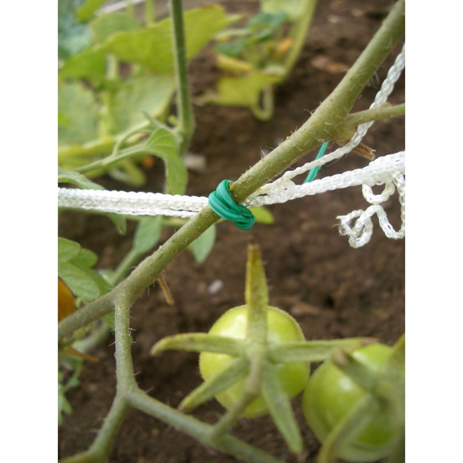 Panacea 8 in. H X 2.8 in. W X 0.5 in. D Green Coated Wire Plant Support Twist Tie